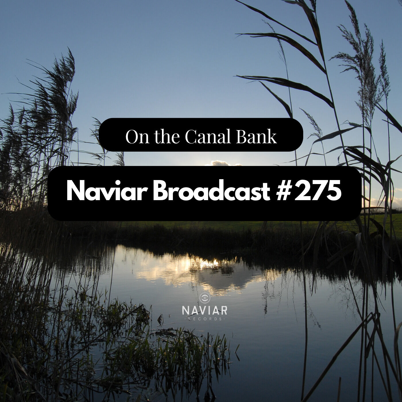 Naviar Broadcast #275 - On the Canal Bank - Wednesday 5th July 2023