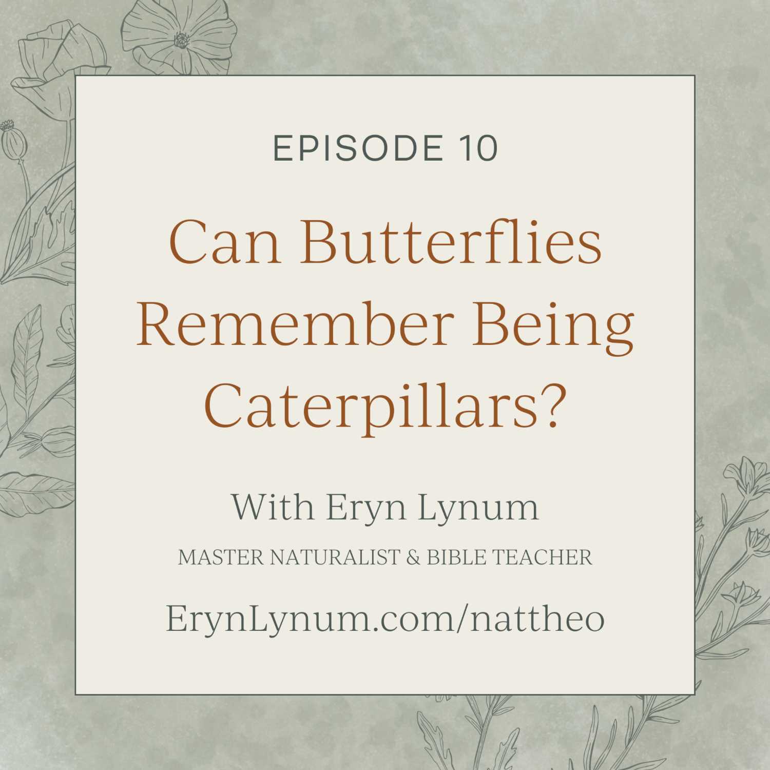 Can Butterflies Remember Being Caterpillars?