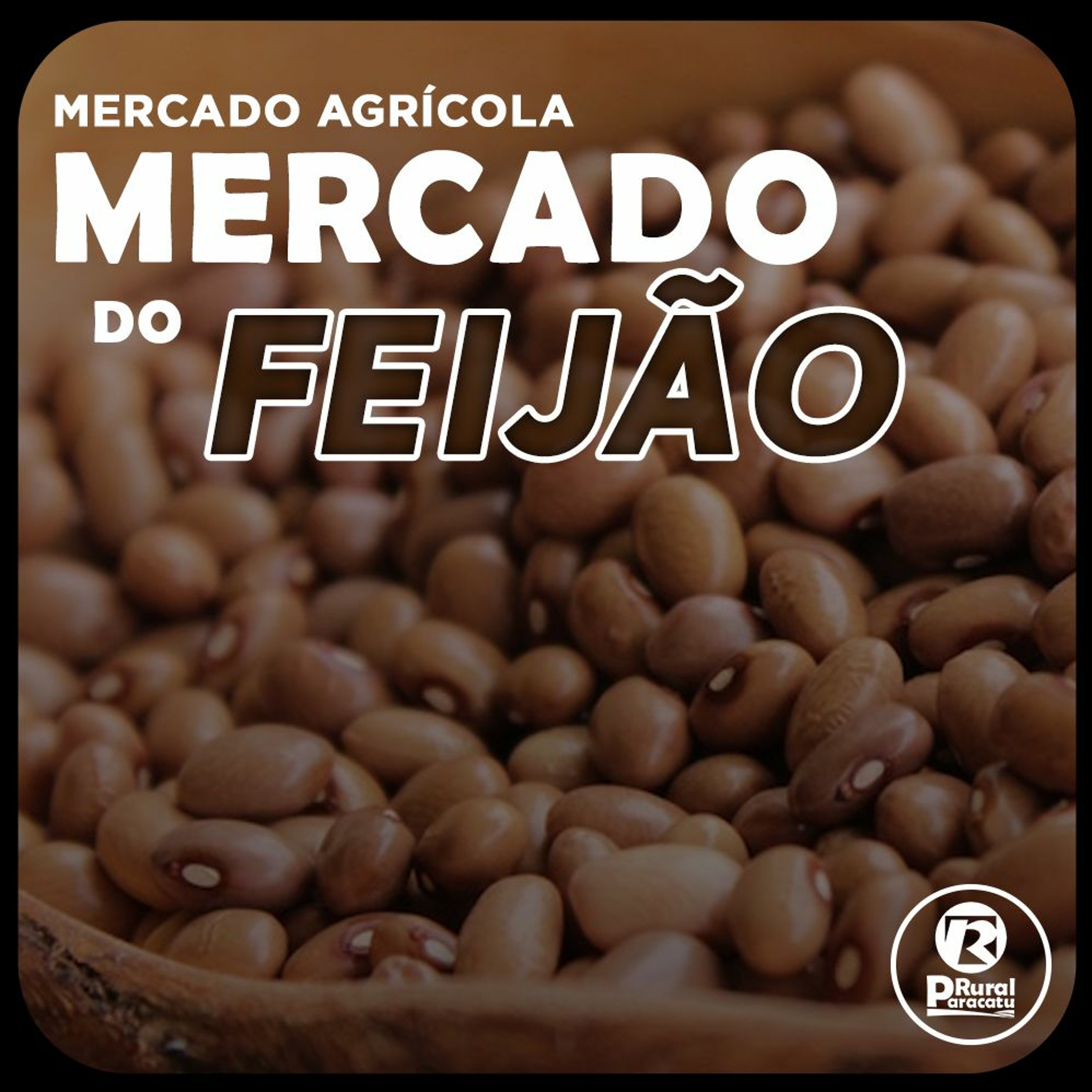 ⁣Preços baixos do feijão carioca preocupam produtores; demanda deve aumentar em agosto