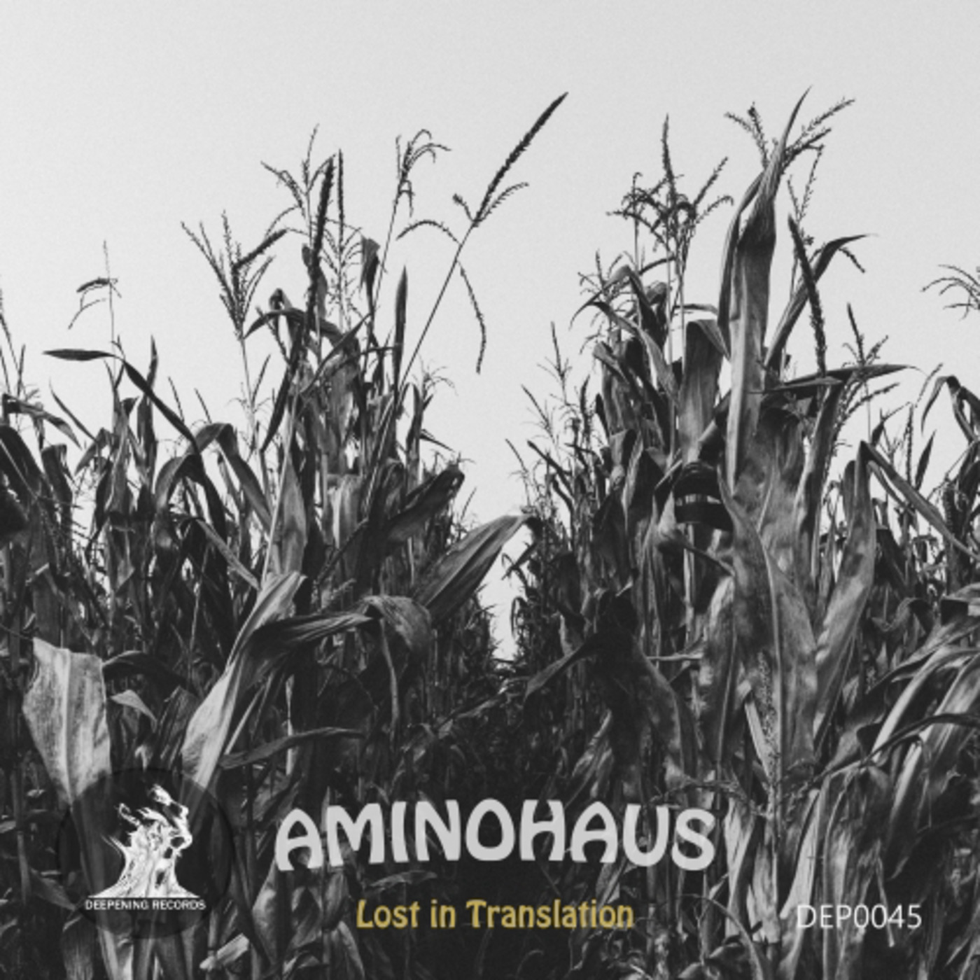 Aminohaus - Lost in Translation  [Deepening Records]