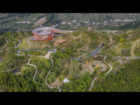 Live: Embrace the beauty of nature at Chengdu's Longquan Mountain Urban Forest Park