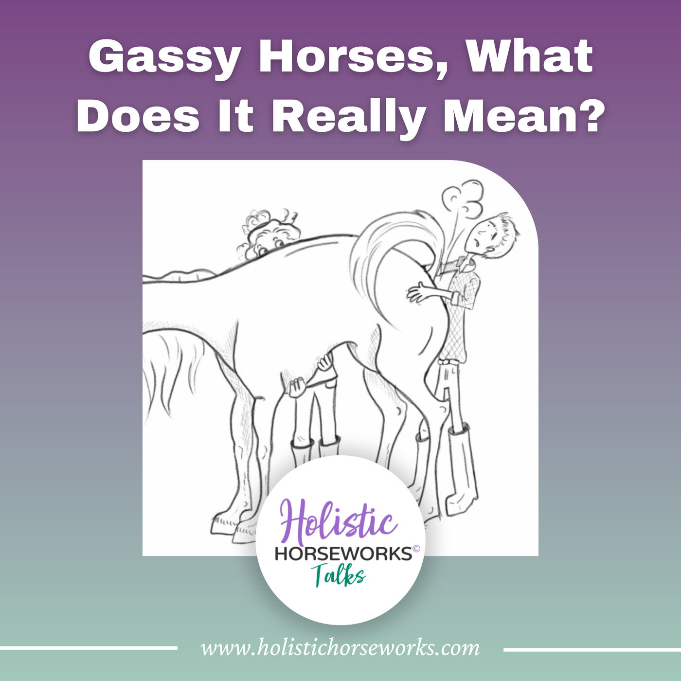 Gassy Horses: What Does That Really Mean?