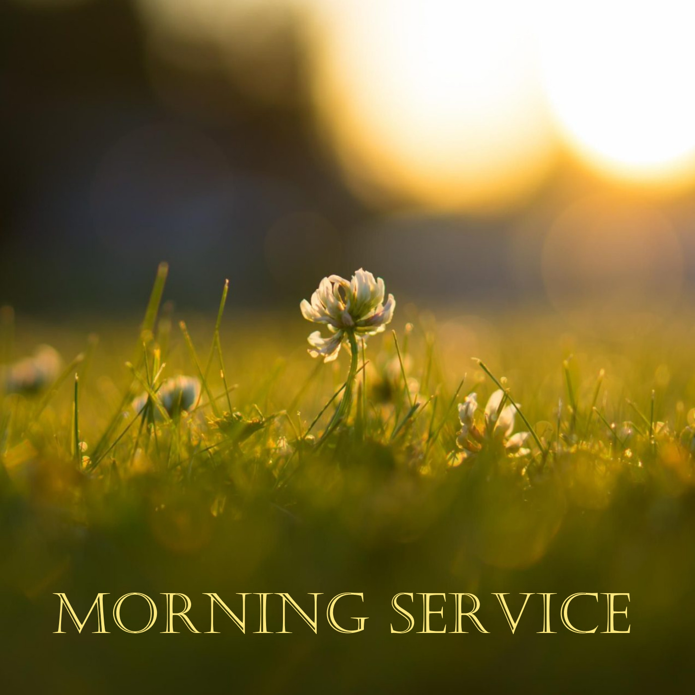 God Speaks; Guilty Silenced