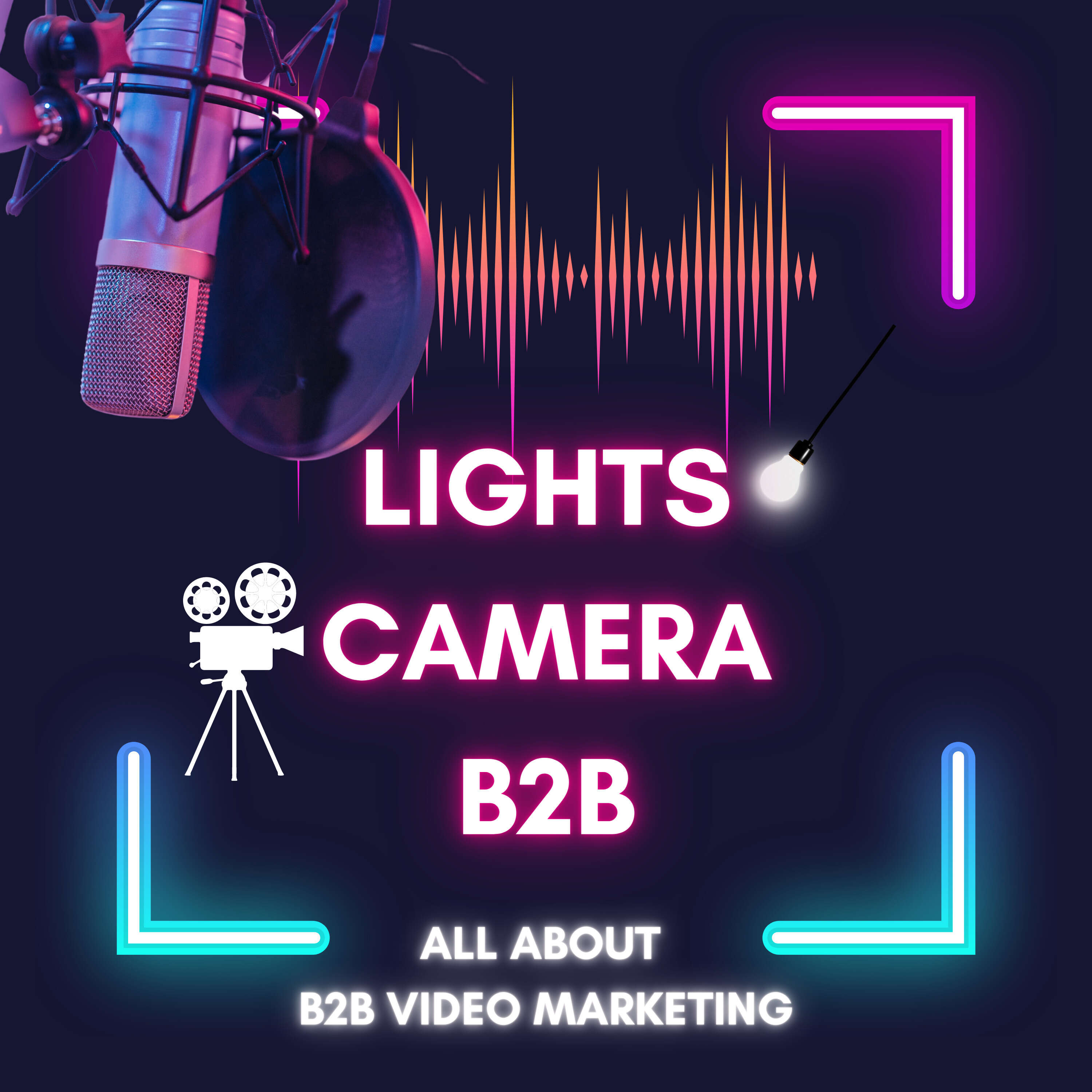 #21 - Video Marketing For B2B Brands! | Olga Denisova