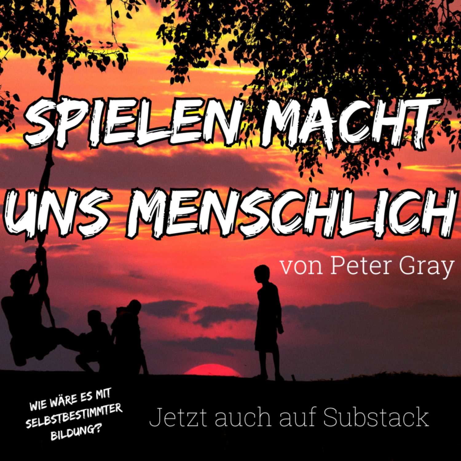 Spielen macht uns Menschlich - Eine Brief Serie von Peter Gray