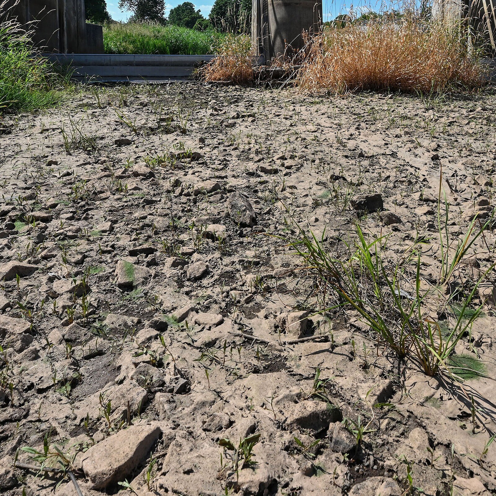 Lausitz: Führt der Kohleausstieg zu Wasserknappheit?