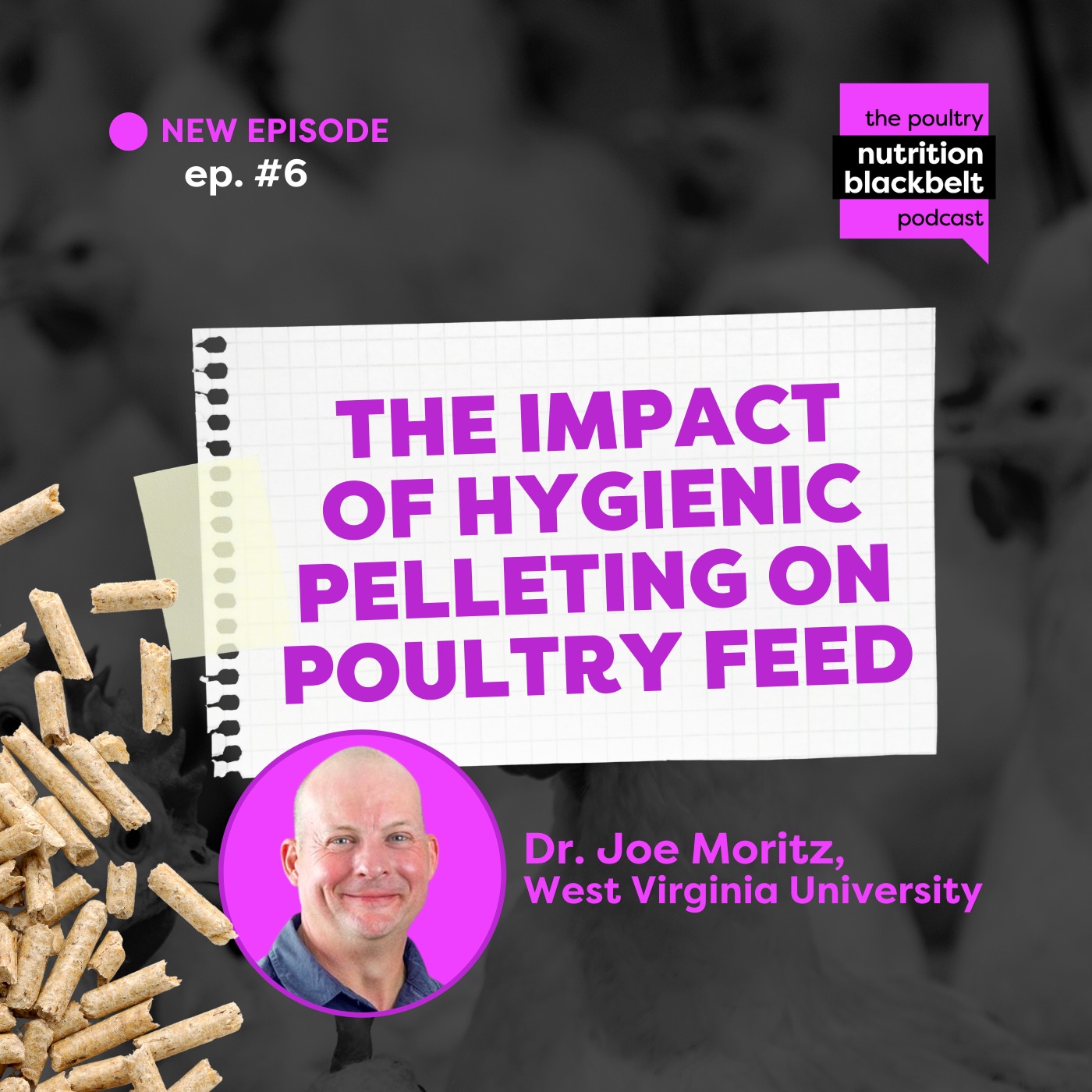 #06 - The Impact of Hygienic Pelleting on Poultry Feed - Dr. Joe Moritz