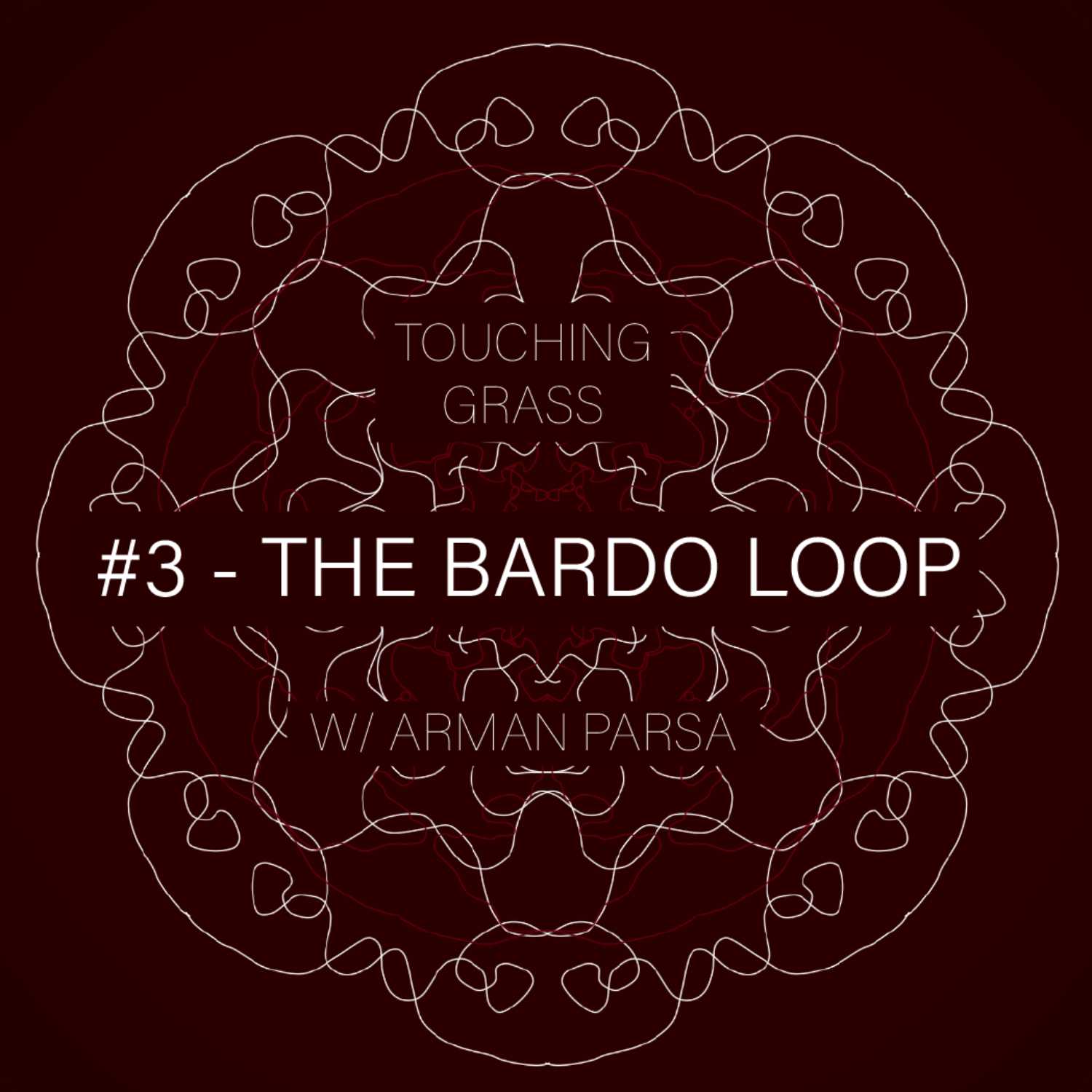 #3 - THE BARDO LOOP
