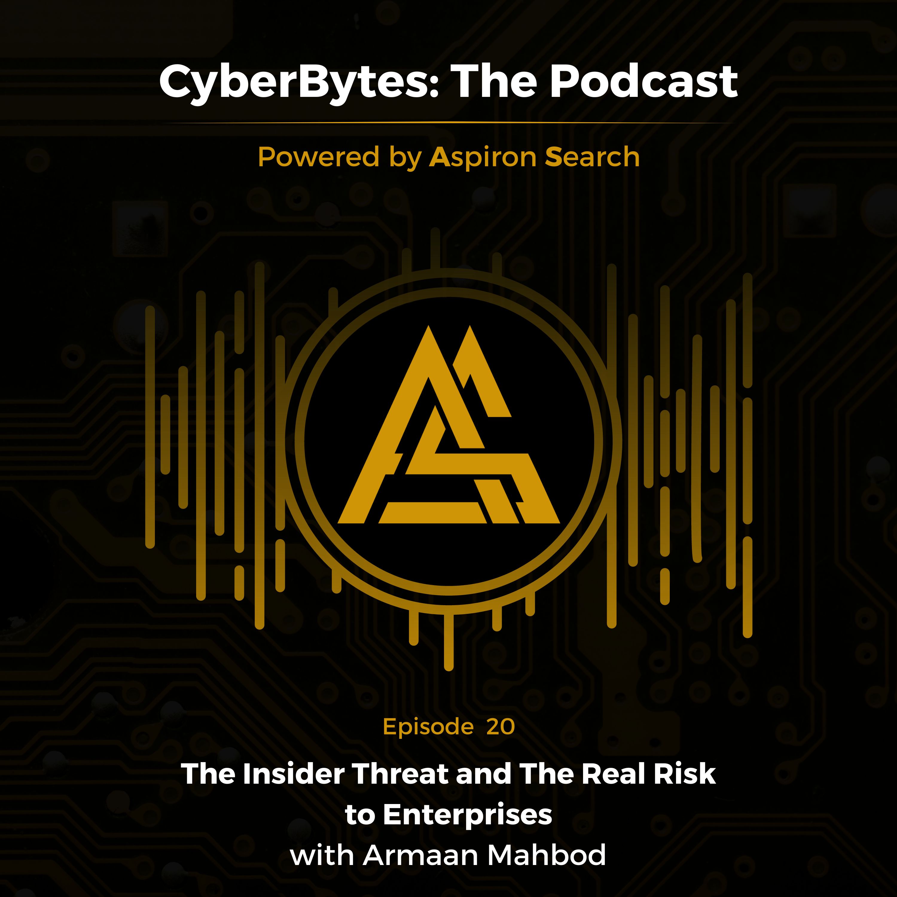 The Insider Threat and The Real Risk to Enterprises with Armaan Mahbod