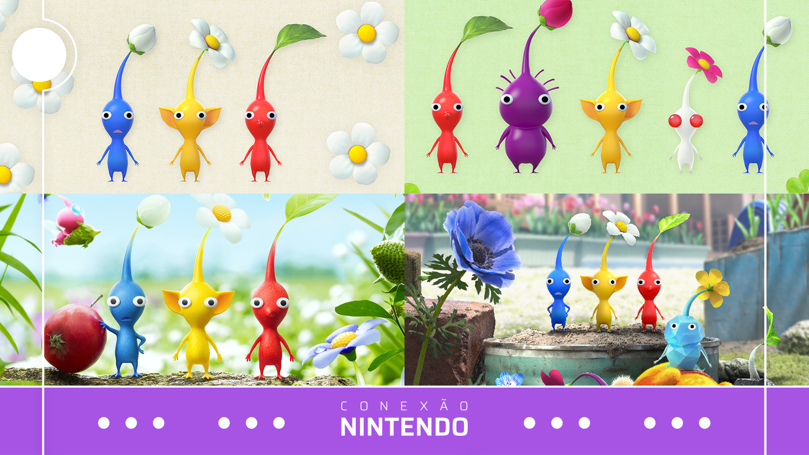 Lançamento de Pikmin 4 e nossa história com a série