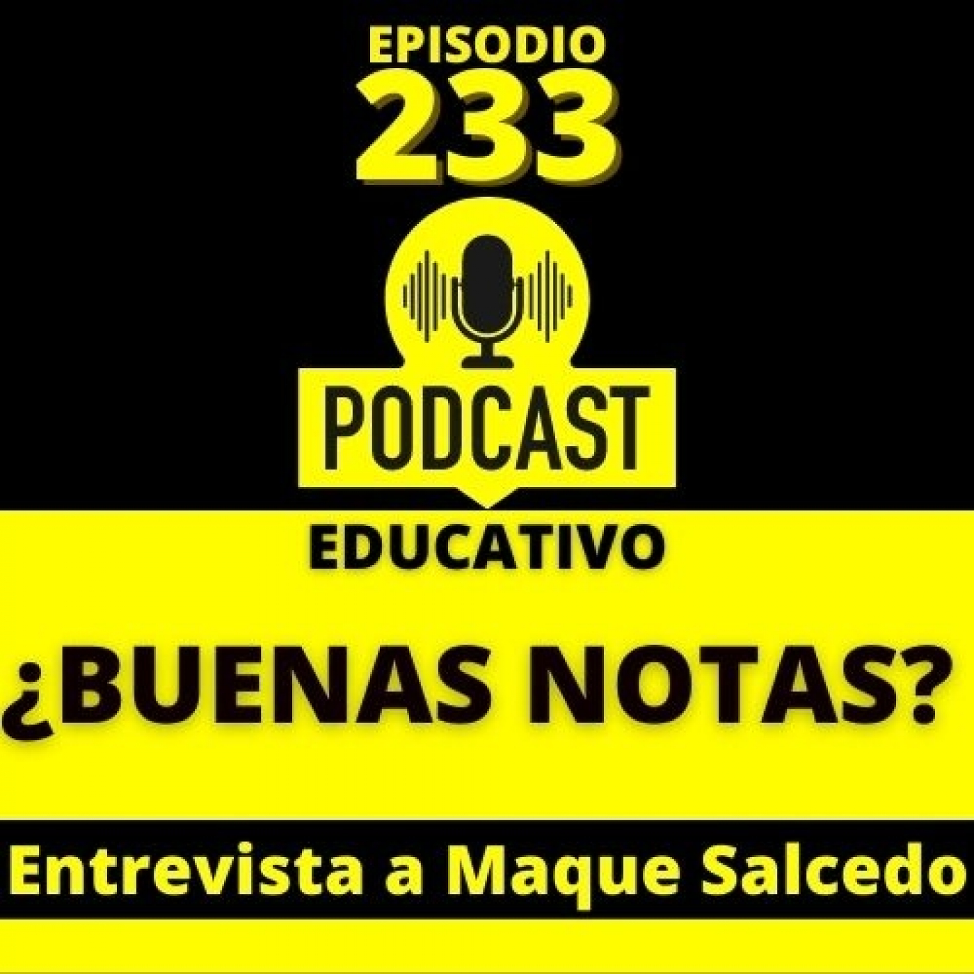 ⁣233- ¿Buenas Notas? Entrevista a Maque Salcedo