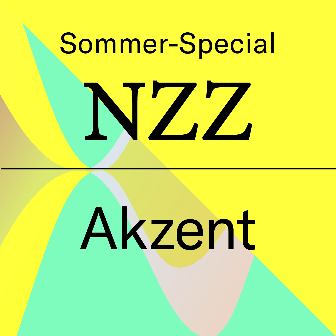 ⁣Sommer-Special: Für die NZZ in Indien