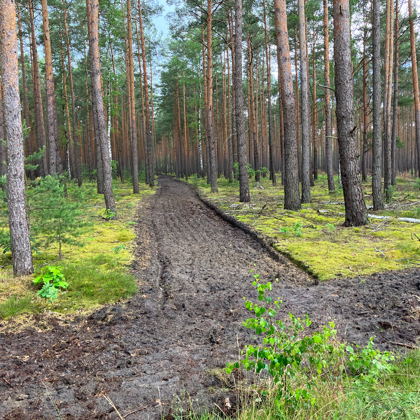 Sicherer als im Grunewald : Der Sprengplatz in Kummersdorf