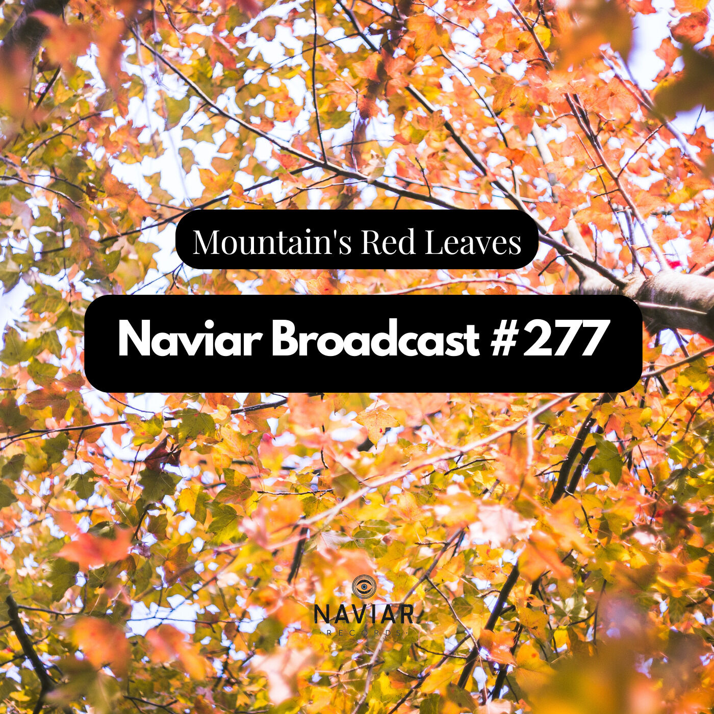 Naviar Broadcast #277 - Mountain’s Red Leaves - Wednesday 19th July 2023