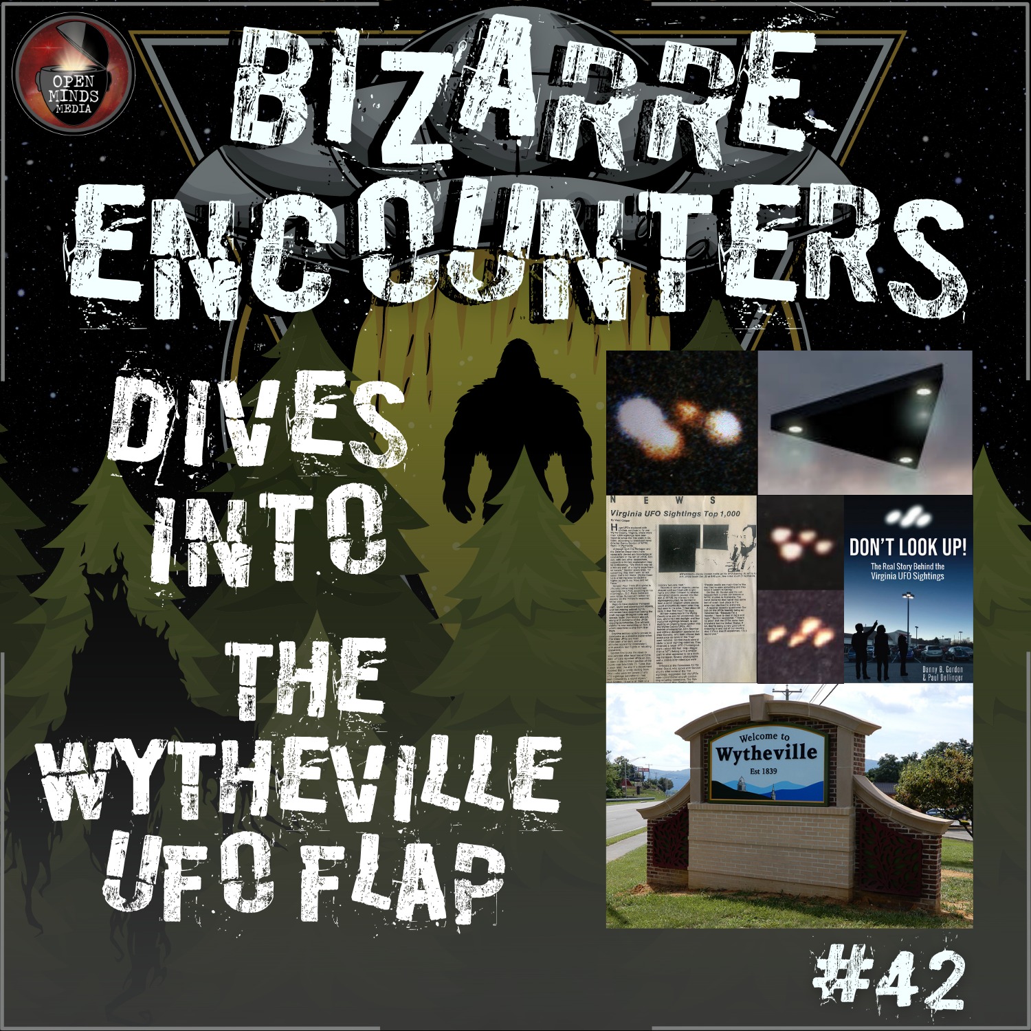 #42 The Wytheville UFO Flap