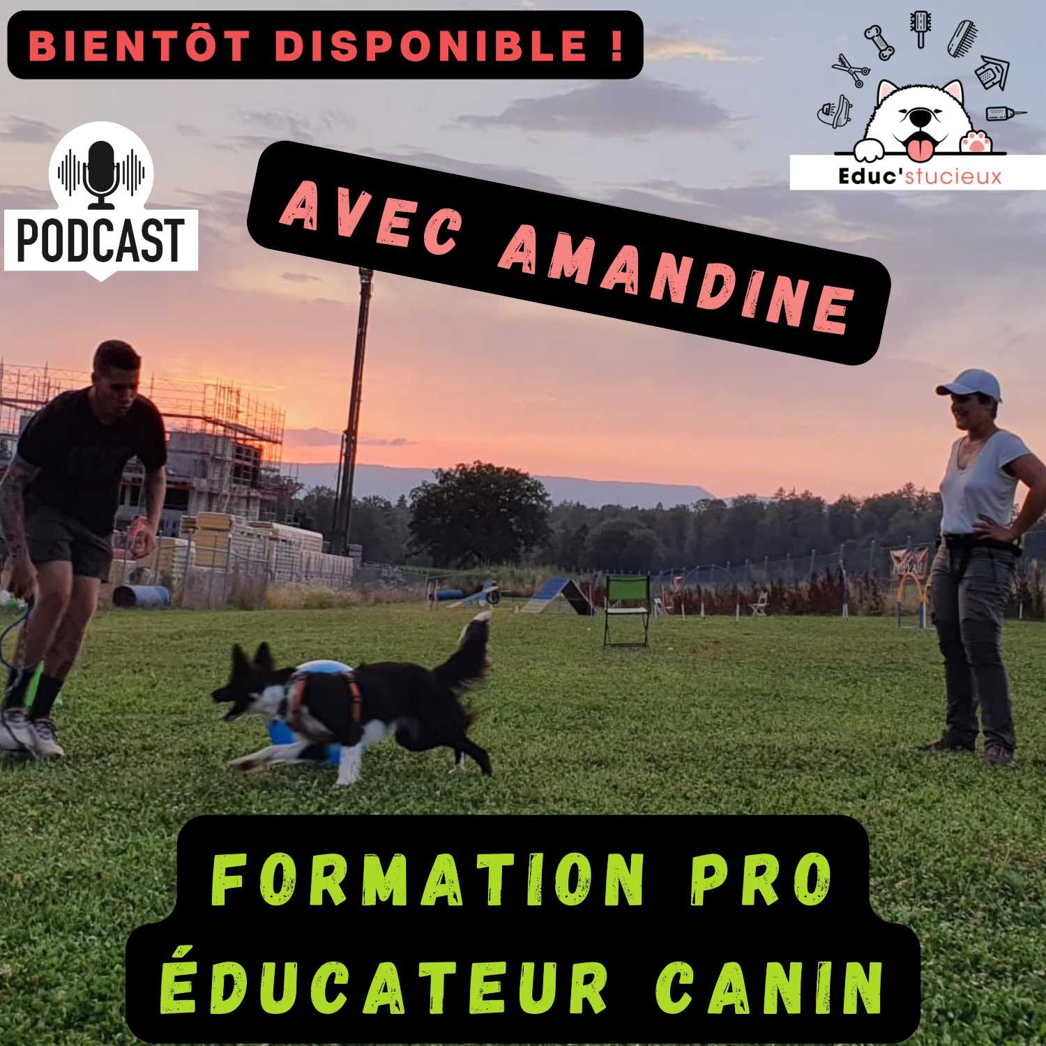 Formation Professionnelle - Éducateur Canin (Avec Amandine). 