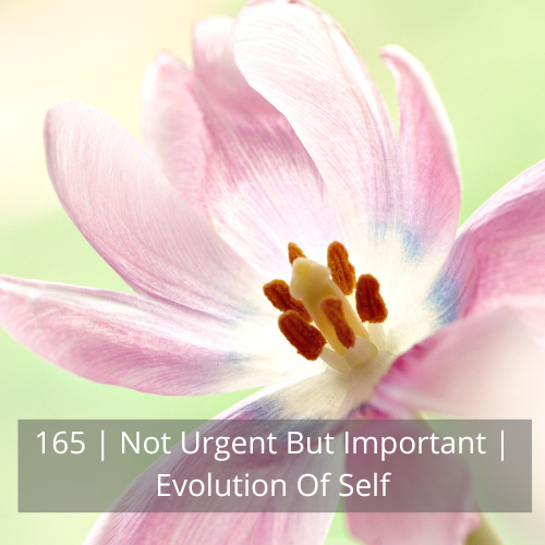 165 | Not Urgent But Important | Evolution Of Self