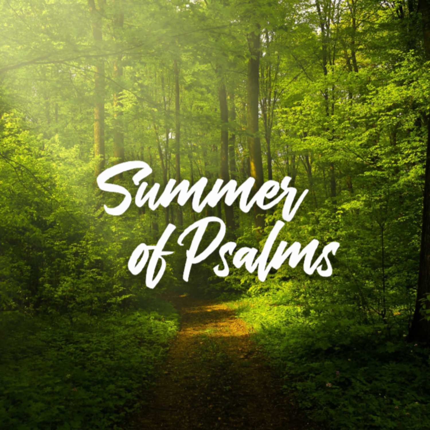 Psalm 112 - Summer of Psalms