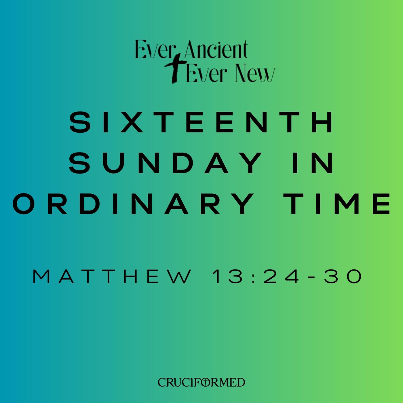 Sixteenth Sunday in Ordinary Time