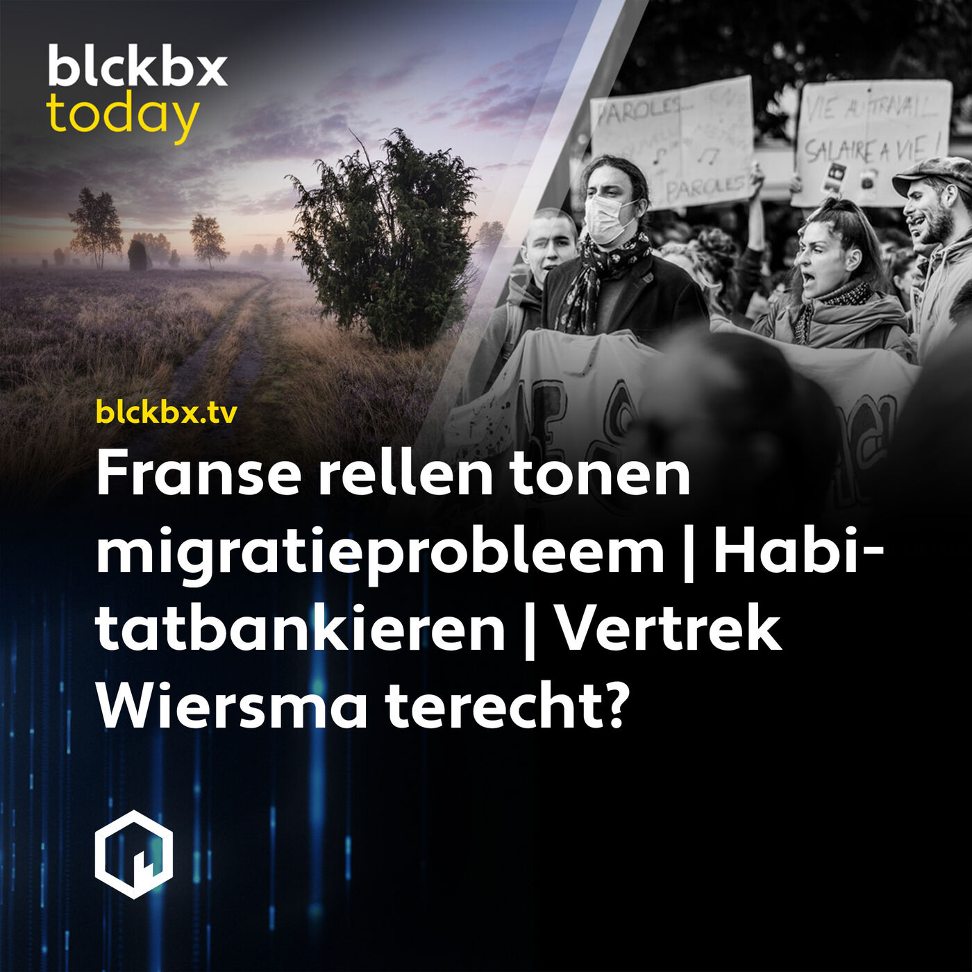 blckbx today #197: Franse rellen tonen migratieprobleem | Habitatbankieren | Vertrek Wiersma terecht?