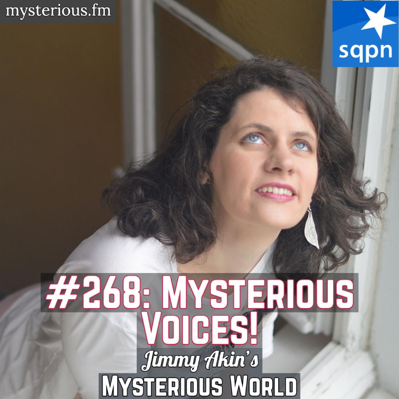 ⁣Mysterious Voices! (Medical Diagnosis? Hallucination? Psychosis? Spirits?) - Jimmy Akin's Mysterious World