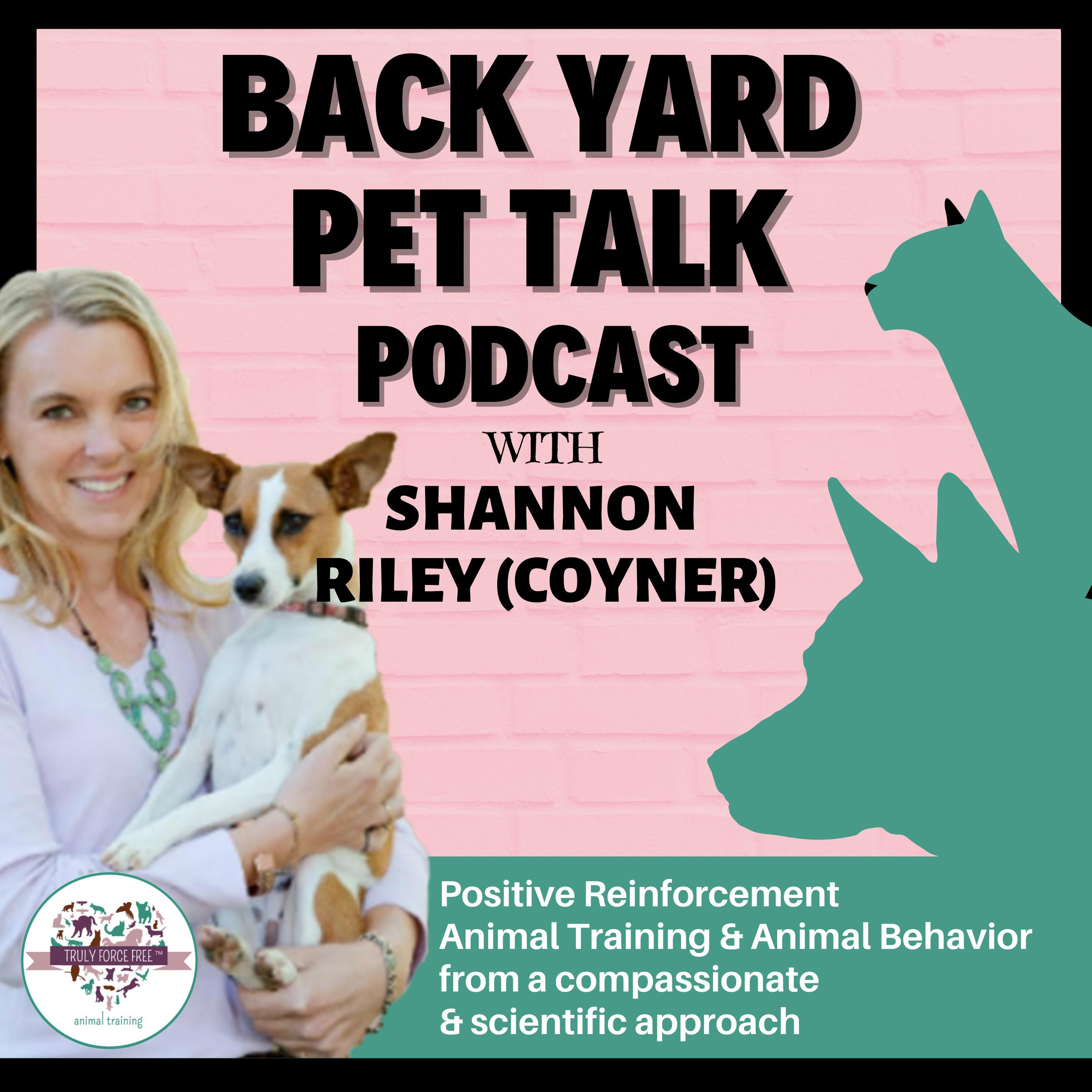 Positive Puppy Podcast: Dogs Have Feelings & Emotions!