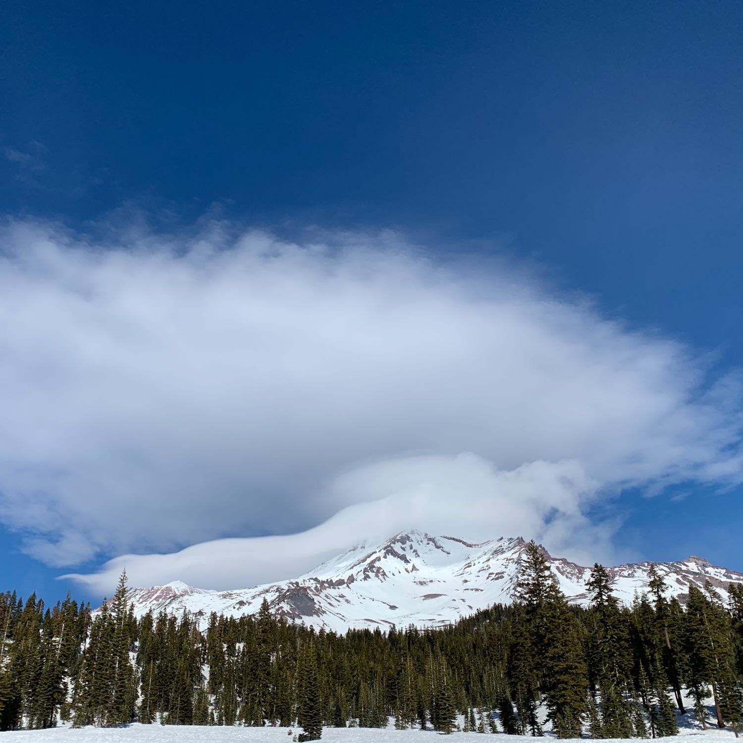 Journeys to Mt Shasta 