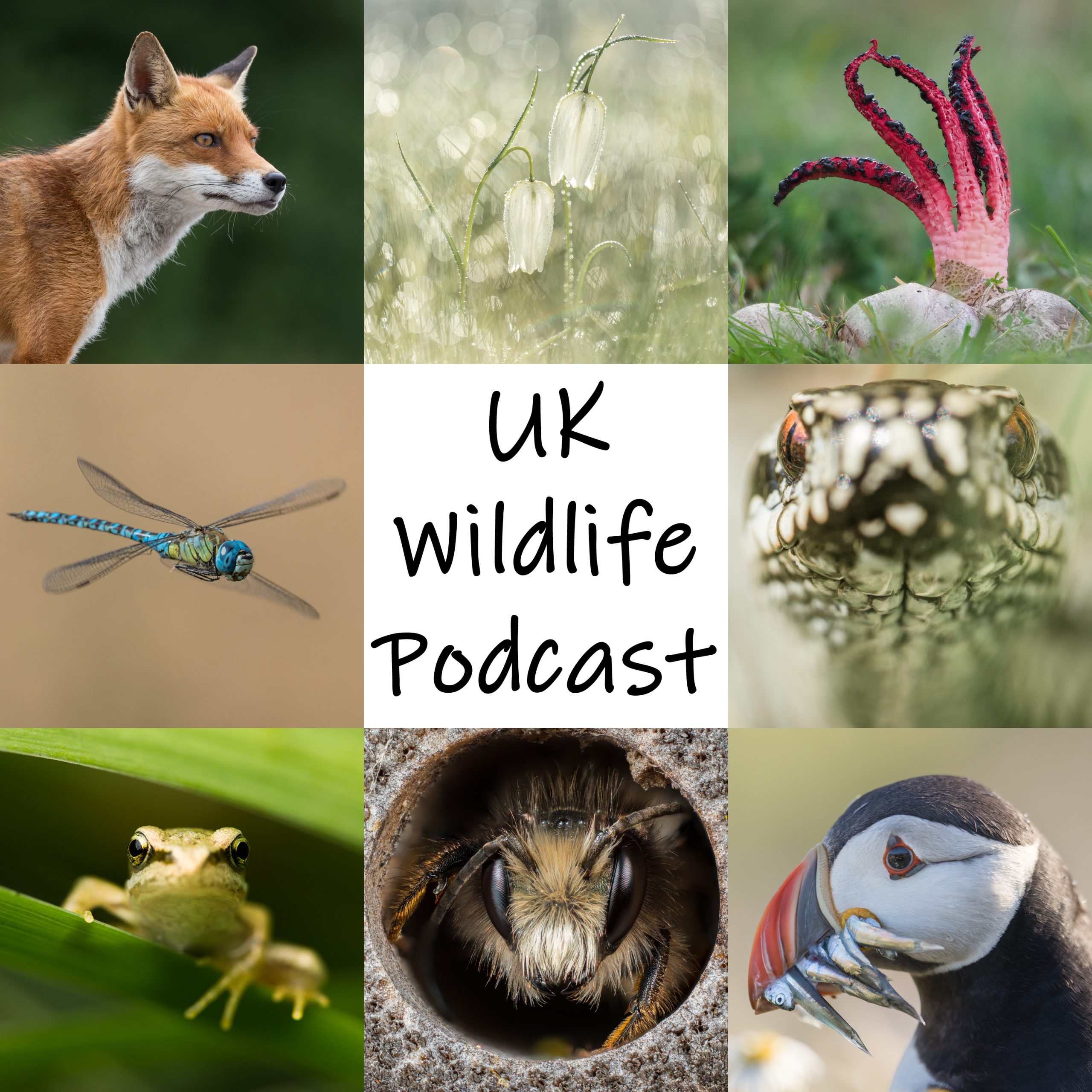 ⁣EP87 – Nigel Marven at Global Birdfair