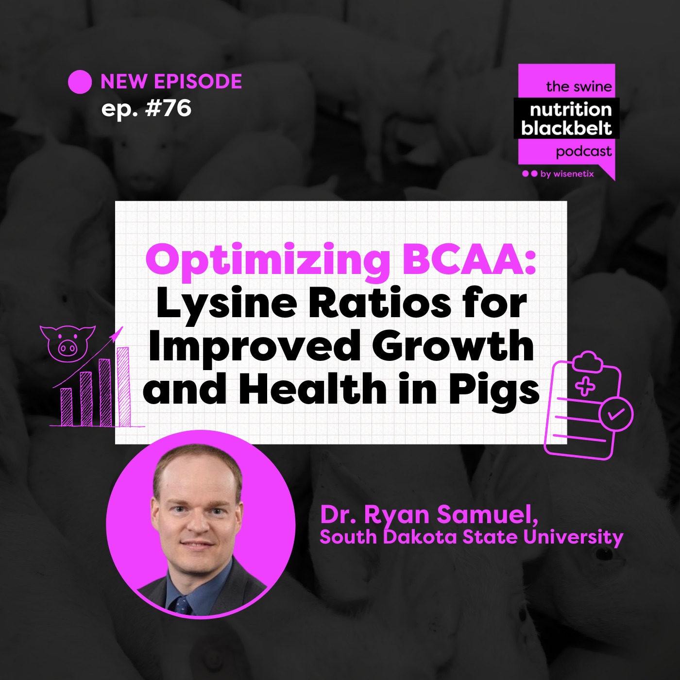 #76 - Optimizing BCAA: Lysine Ratios for Improved Growth and Health in Pigs - Dr. Ryan Samuel