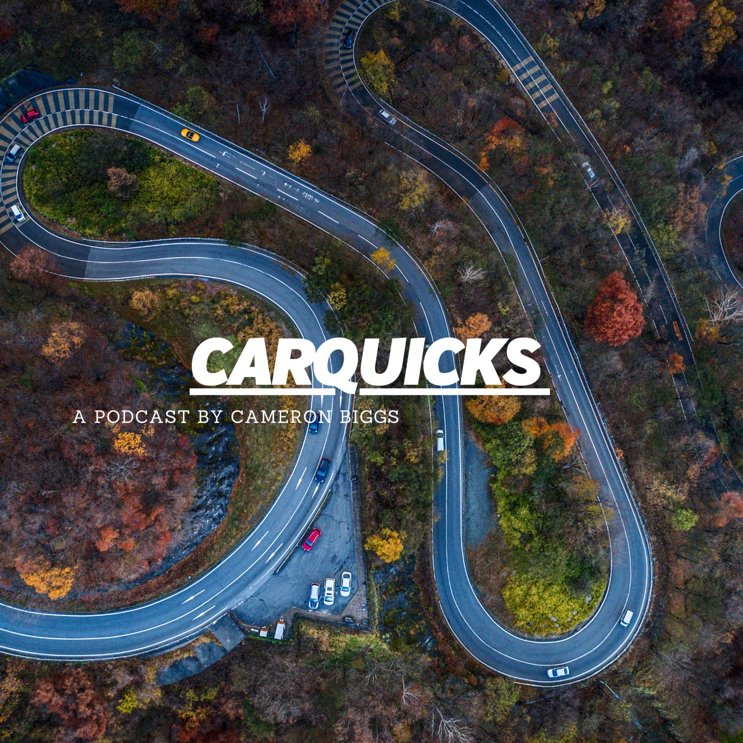 CarQuicks 