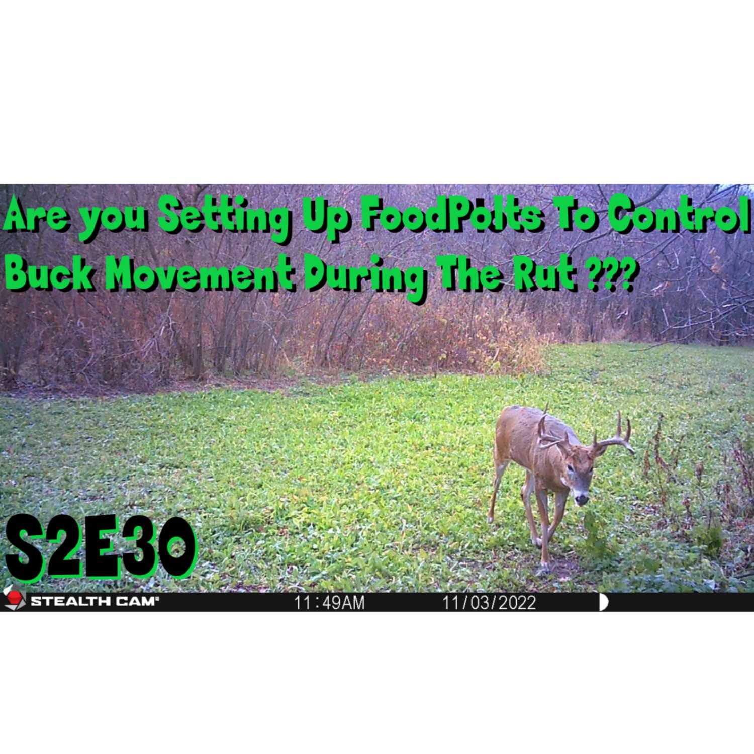 S2E30 Setting up plots to control buck movement