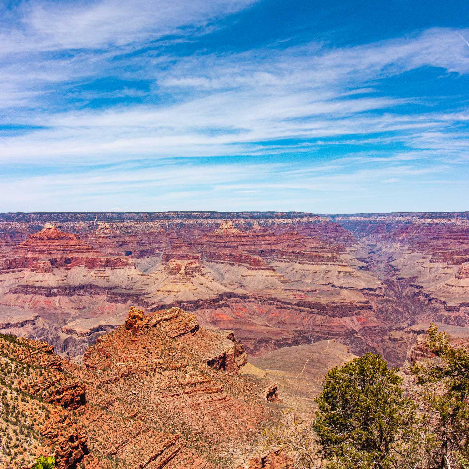 Grand Canyon National Park with Courtney Davis