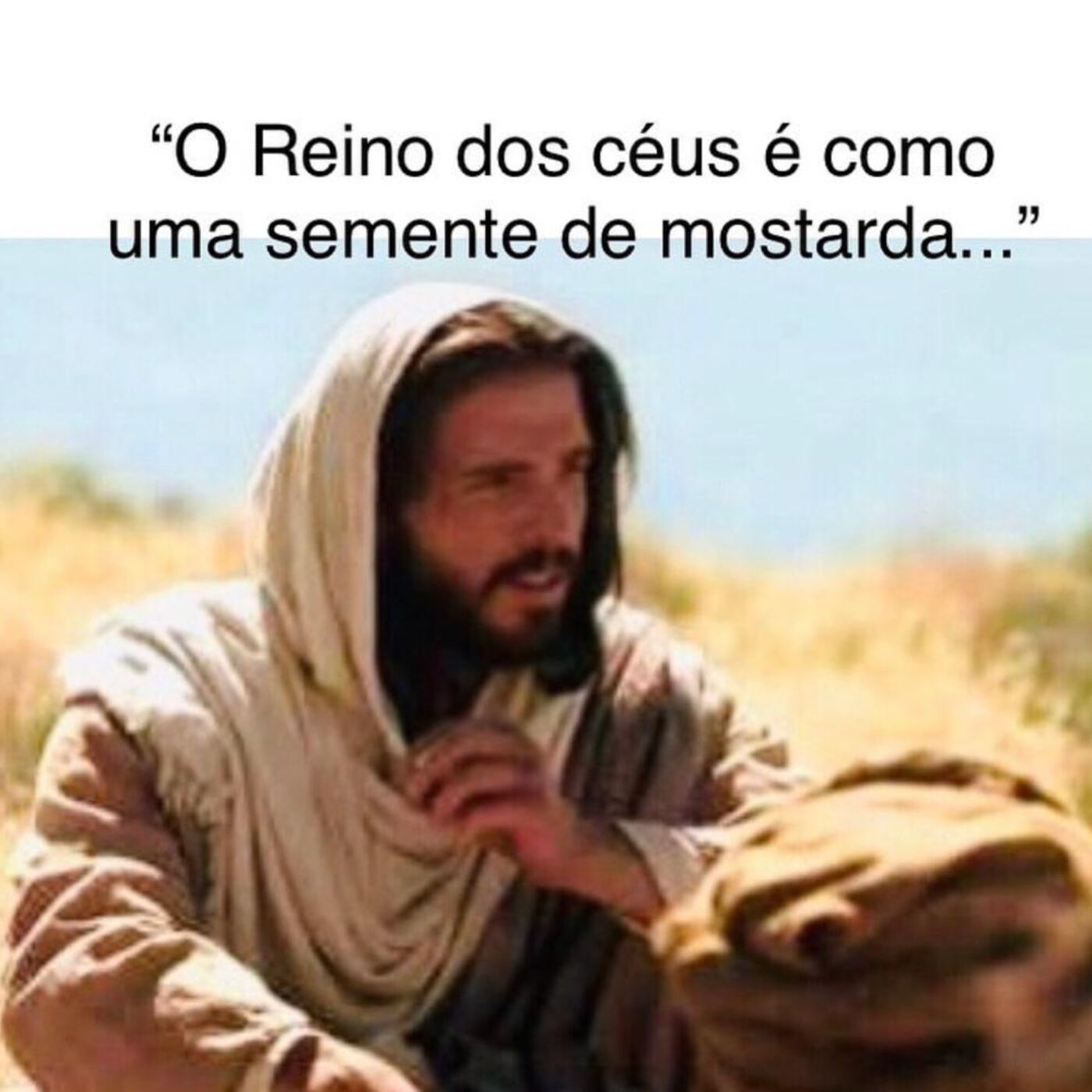 31.07.2023  - Segunda-feira - Evangelho Meditado Mt 13,31-35