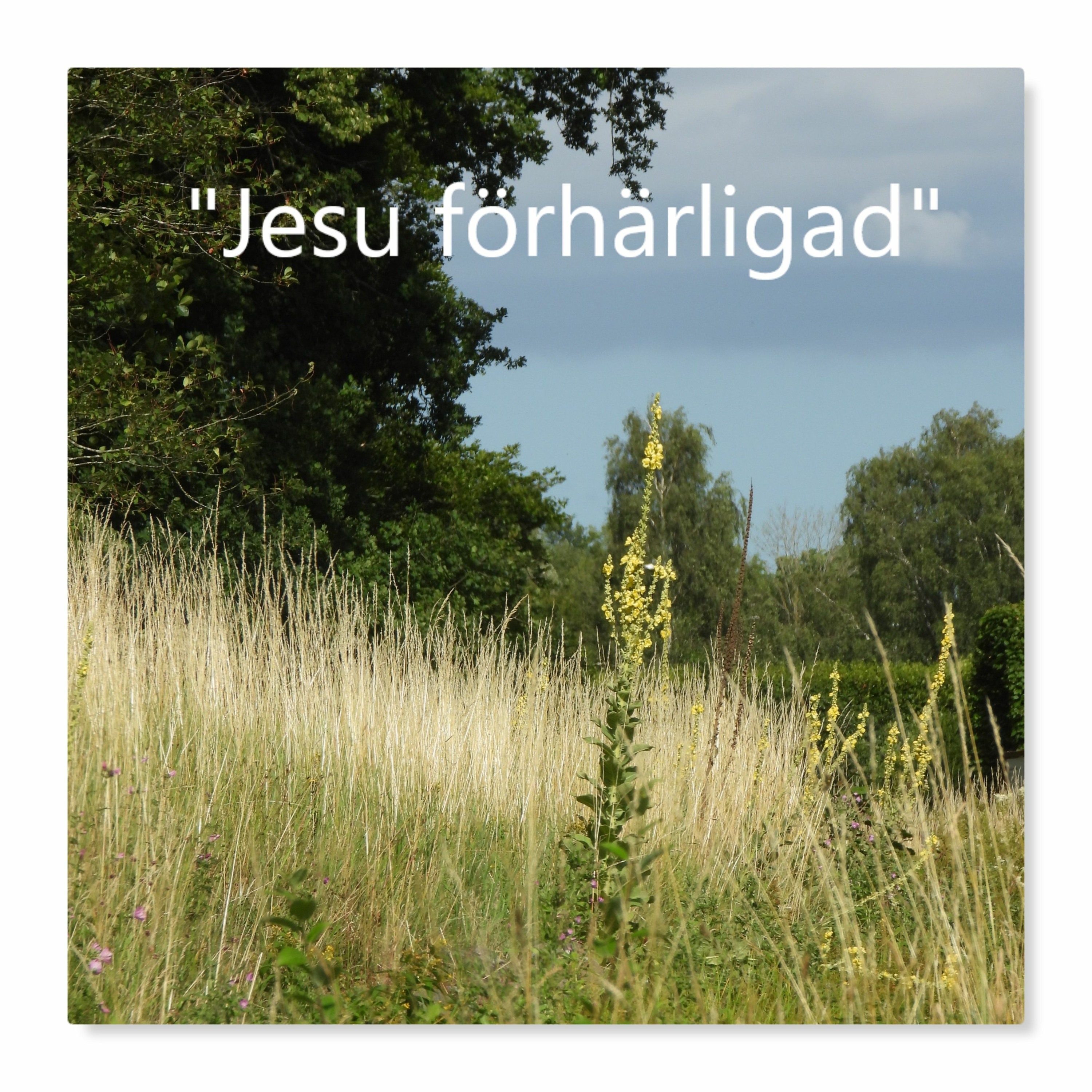 Jesu förhärligad - 23 juli 2023