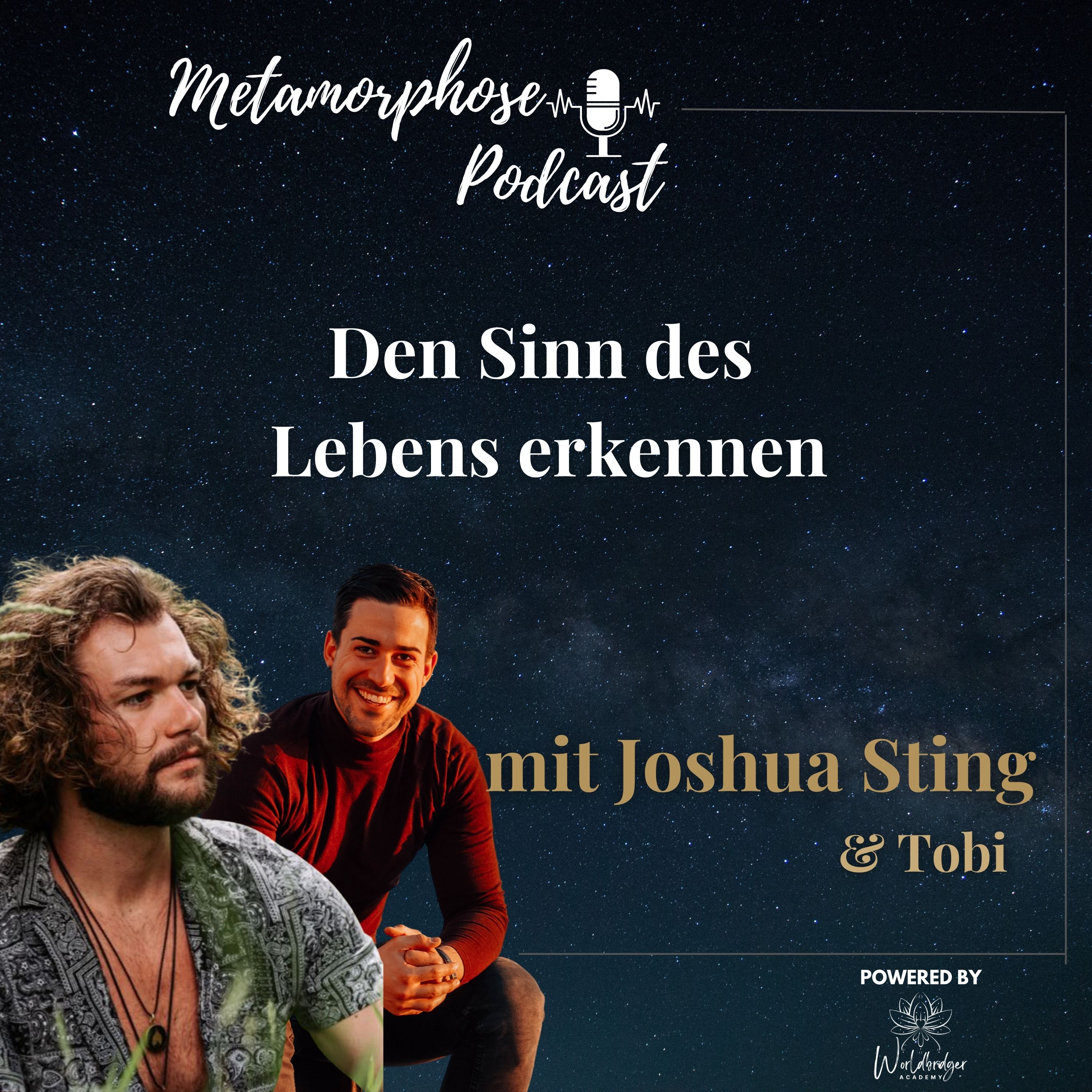 Den Sinn des Lebens erkennen mit Joshua Sting