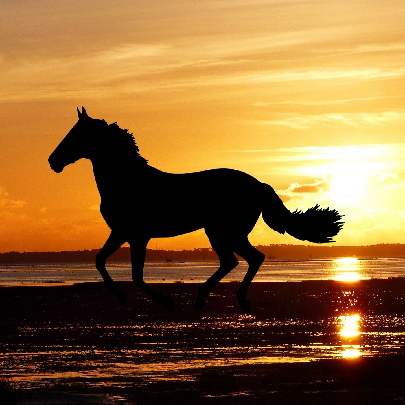 ⁣Portrait intuitif de la Joie