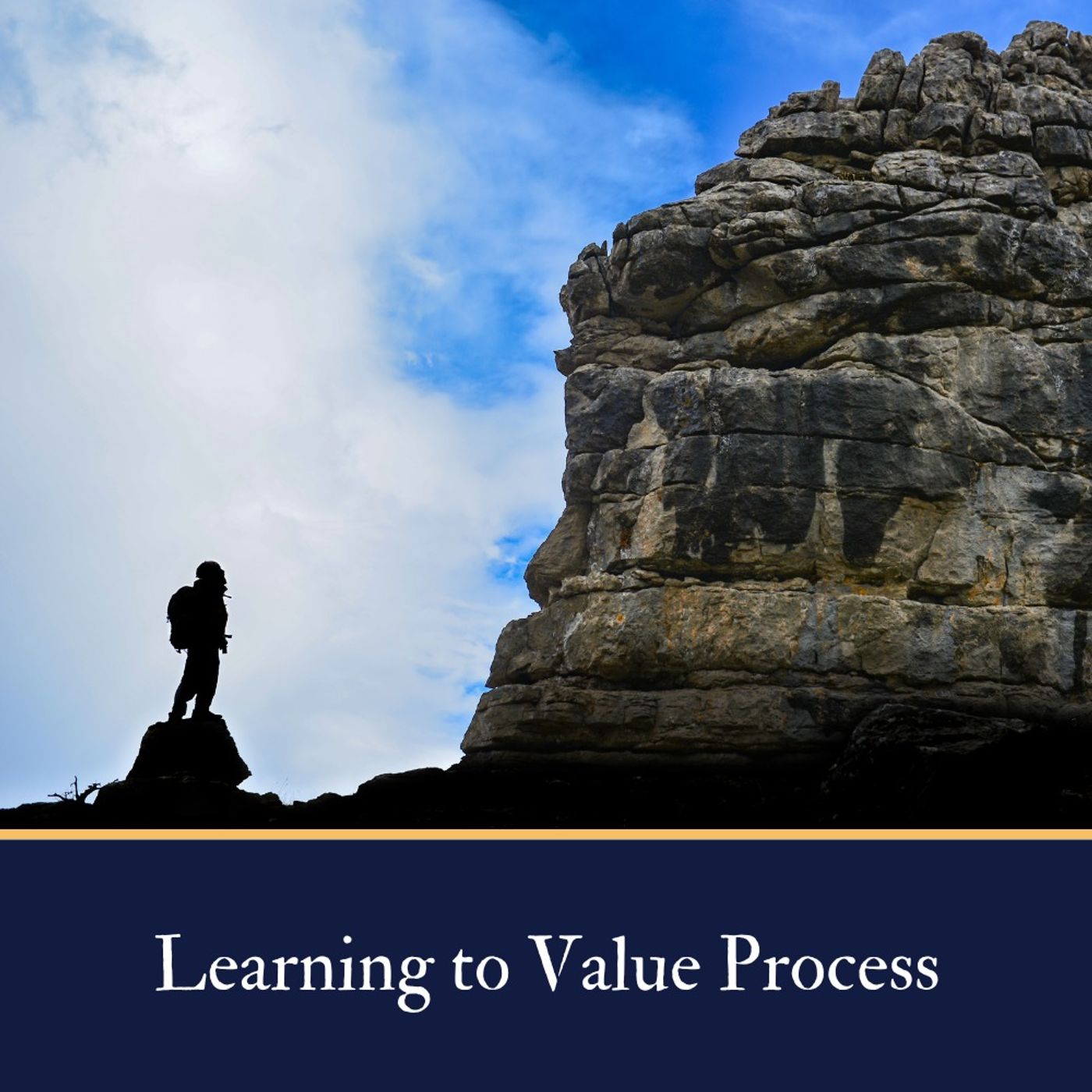 Learning to Value Process