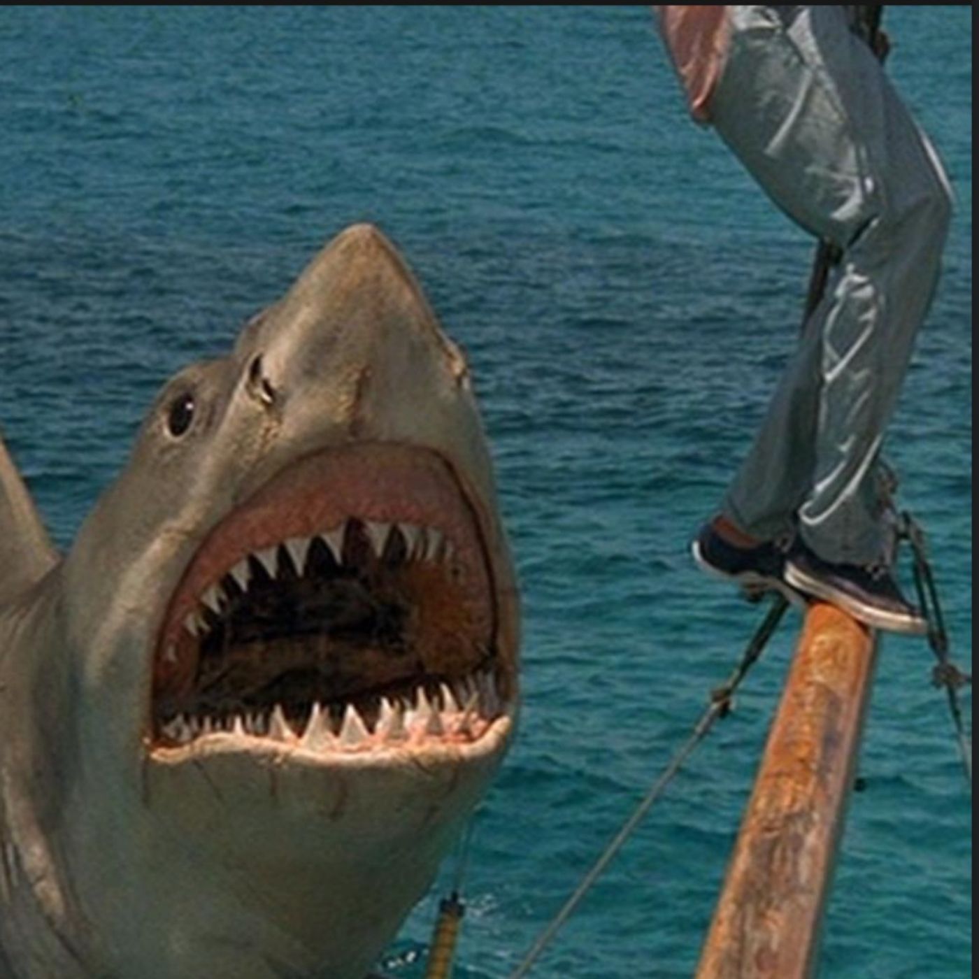 Eat Pray Shark (Jaws 4)