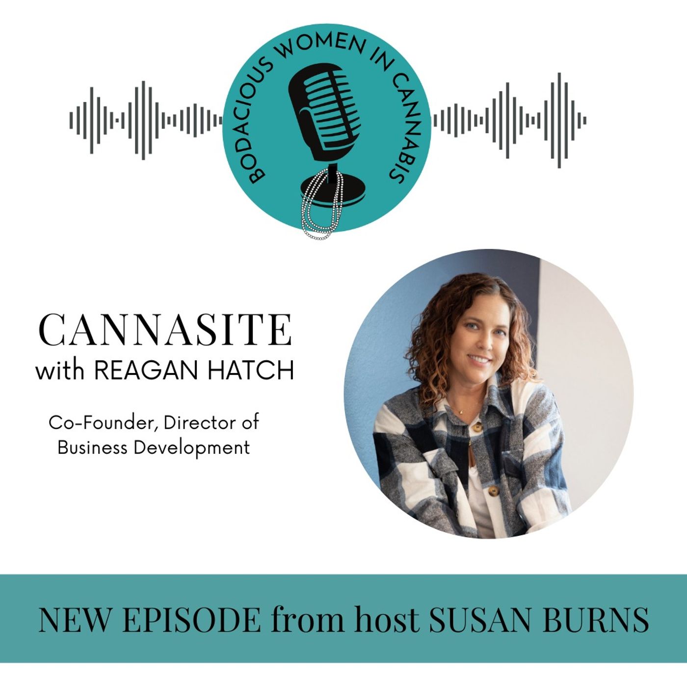 Empowering Cannabis Businesses with Transparent Web Solutions