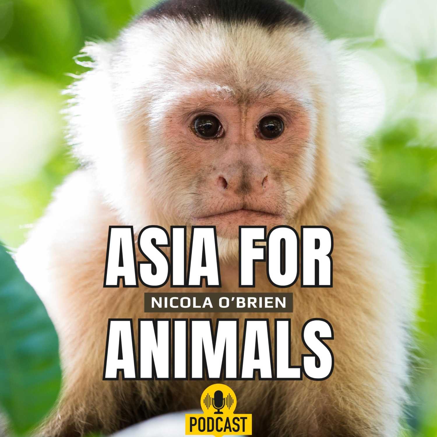 Asia For Animals with Nicola O’Brien