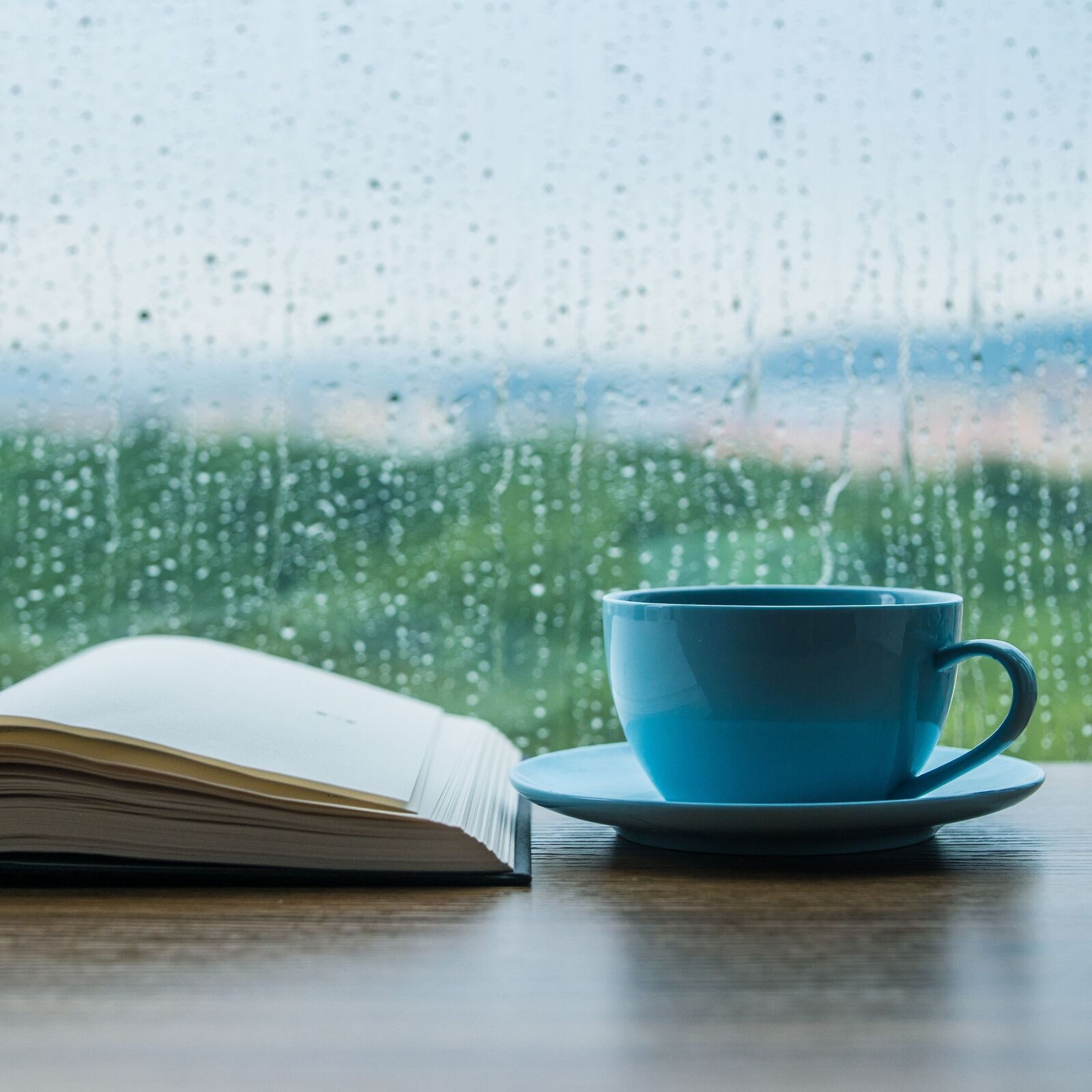 Rainy Bookstore Cafe Ambience | Cozy Shop & Rain Sounds to Work, Study, Relax