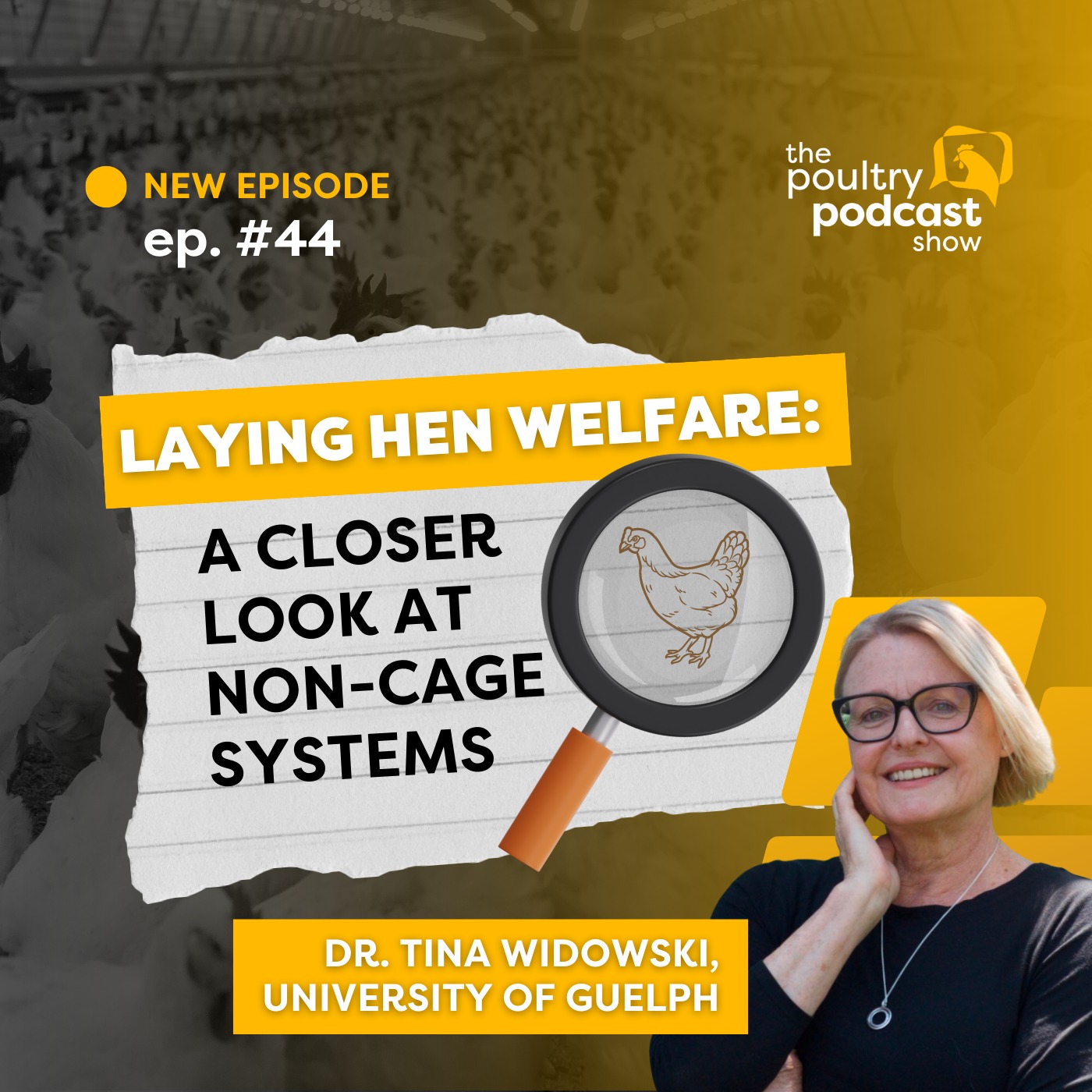 #44 - Laying Hen Welfare: A Closer Look at Non-cage Systems - Dr. Tina Widowski