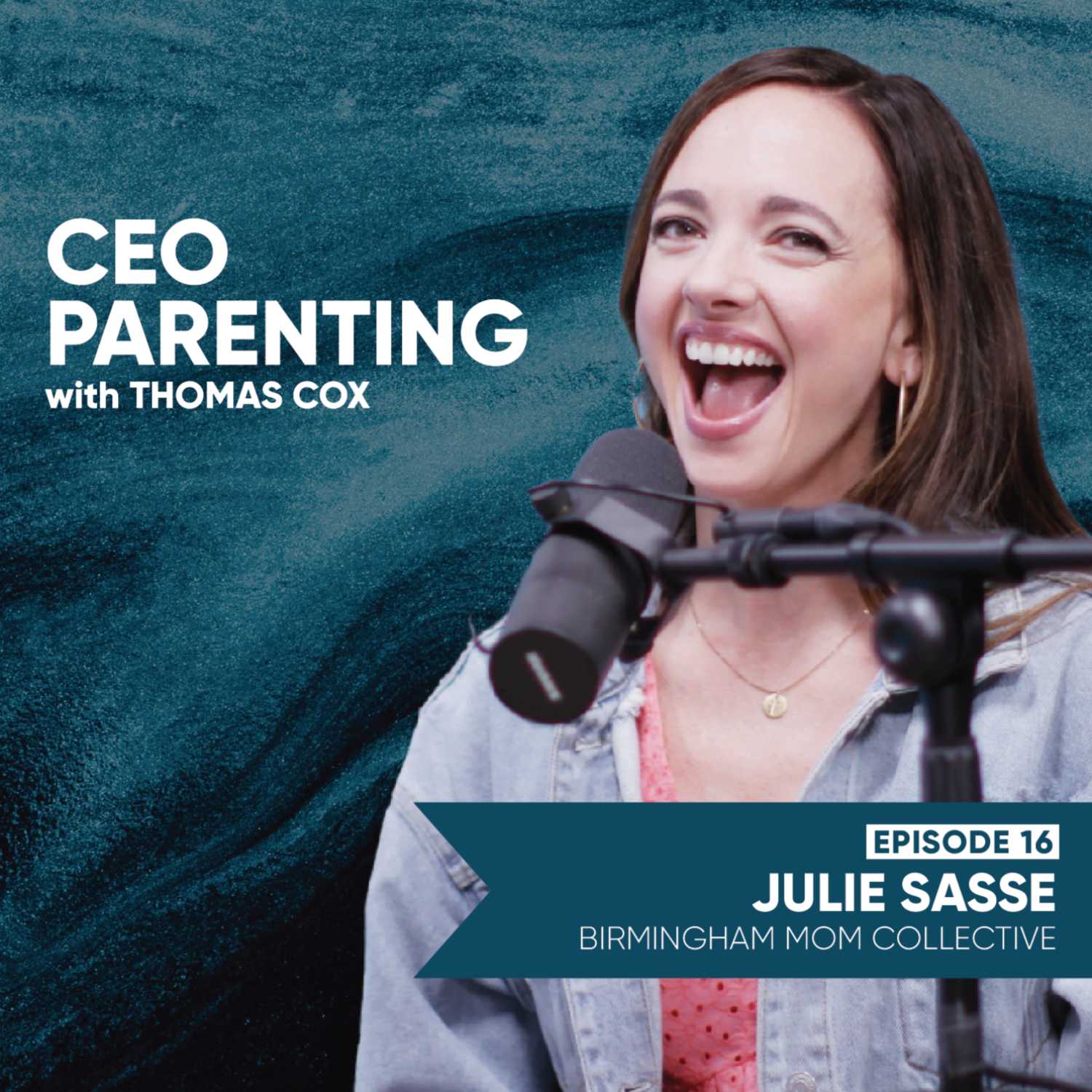 16: Mobilizing Volunteers and Building a Brand - Julie Sasse