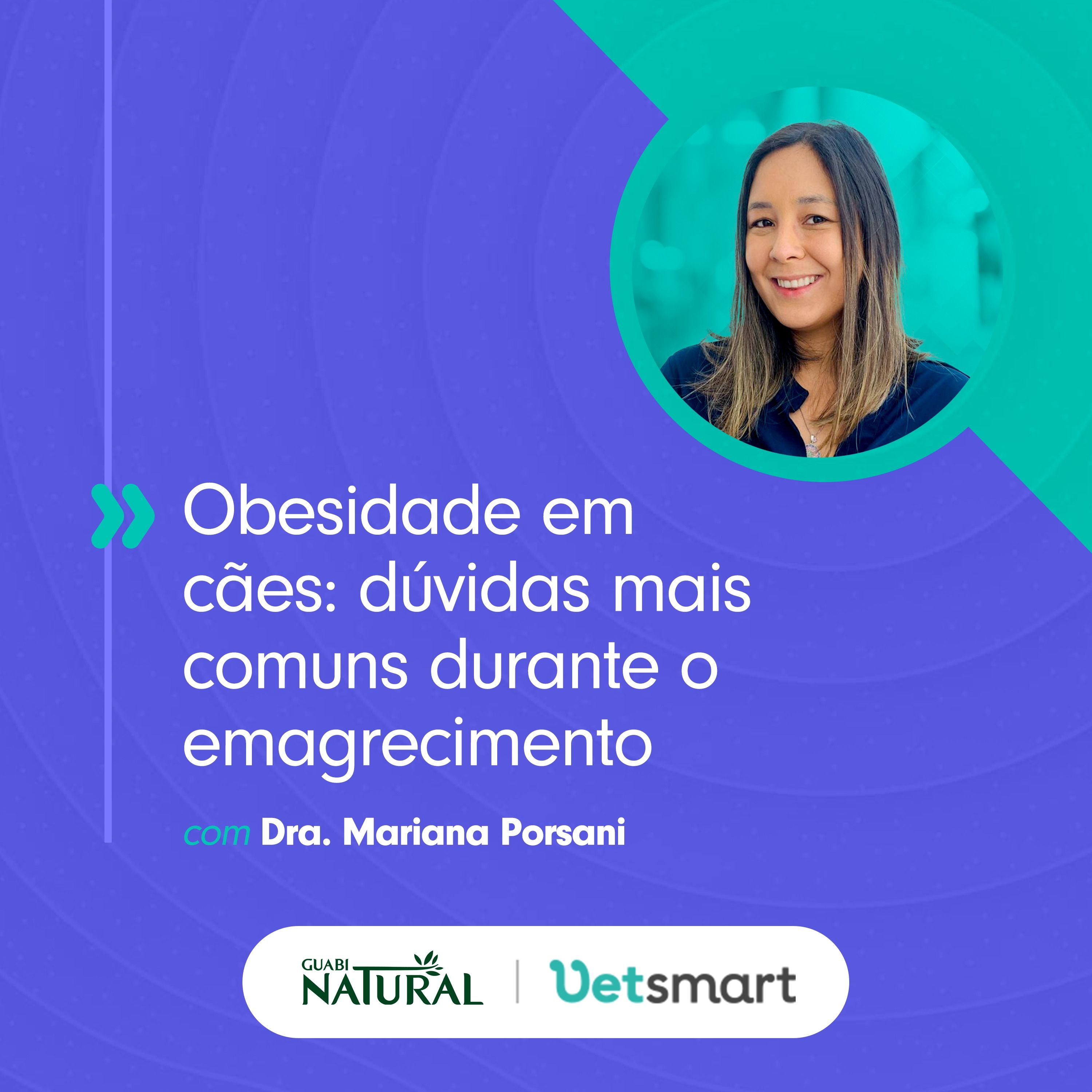 Obesidade em cães: dúvidas mais comuns durante o emagrecimento