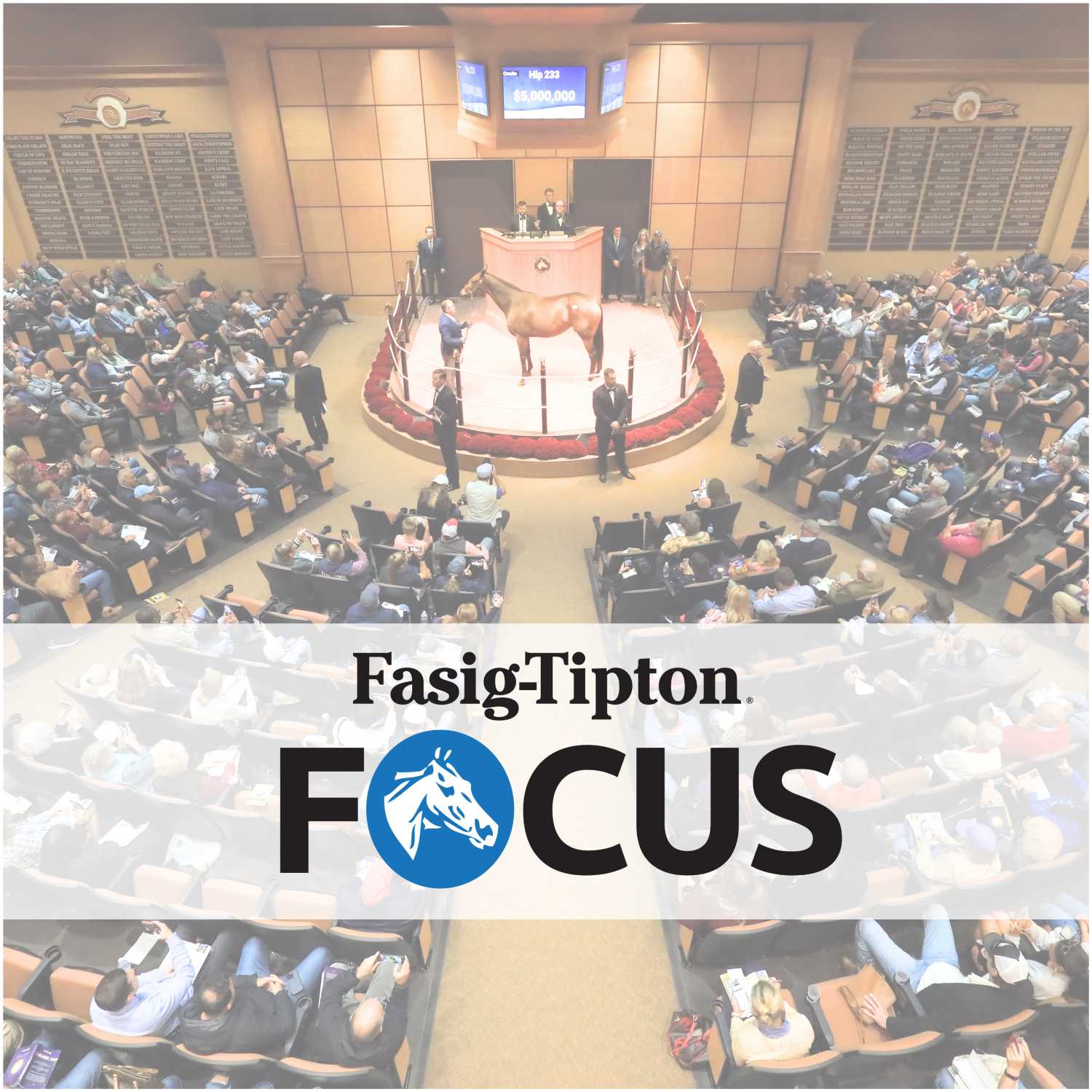 ⁣Fasig-Tipton Focus