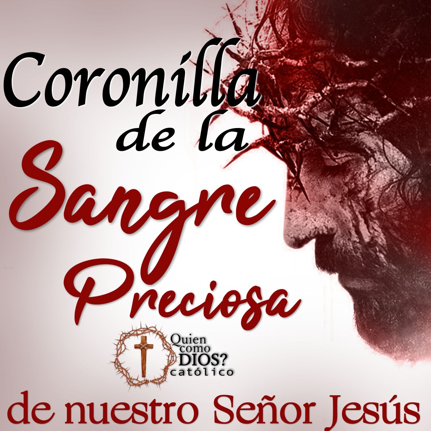 Coronilla de la Preciosa SANGRE de Nuestro Se&ntilde;or JES&Uacute;S 🩸  COMPLETO