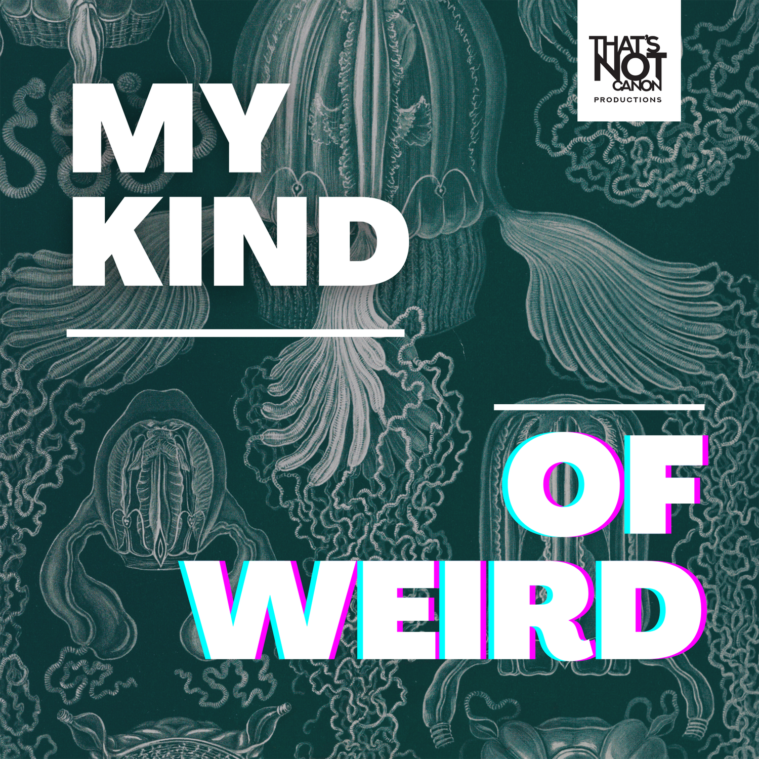 My Kind Of Weird 