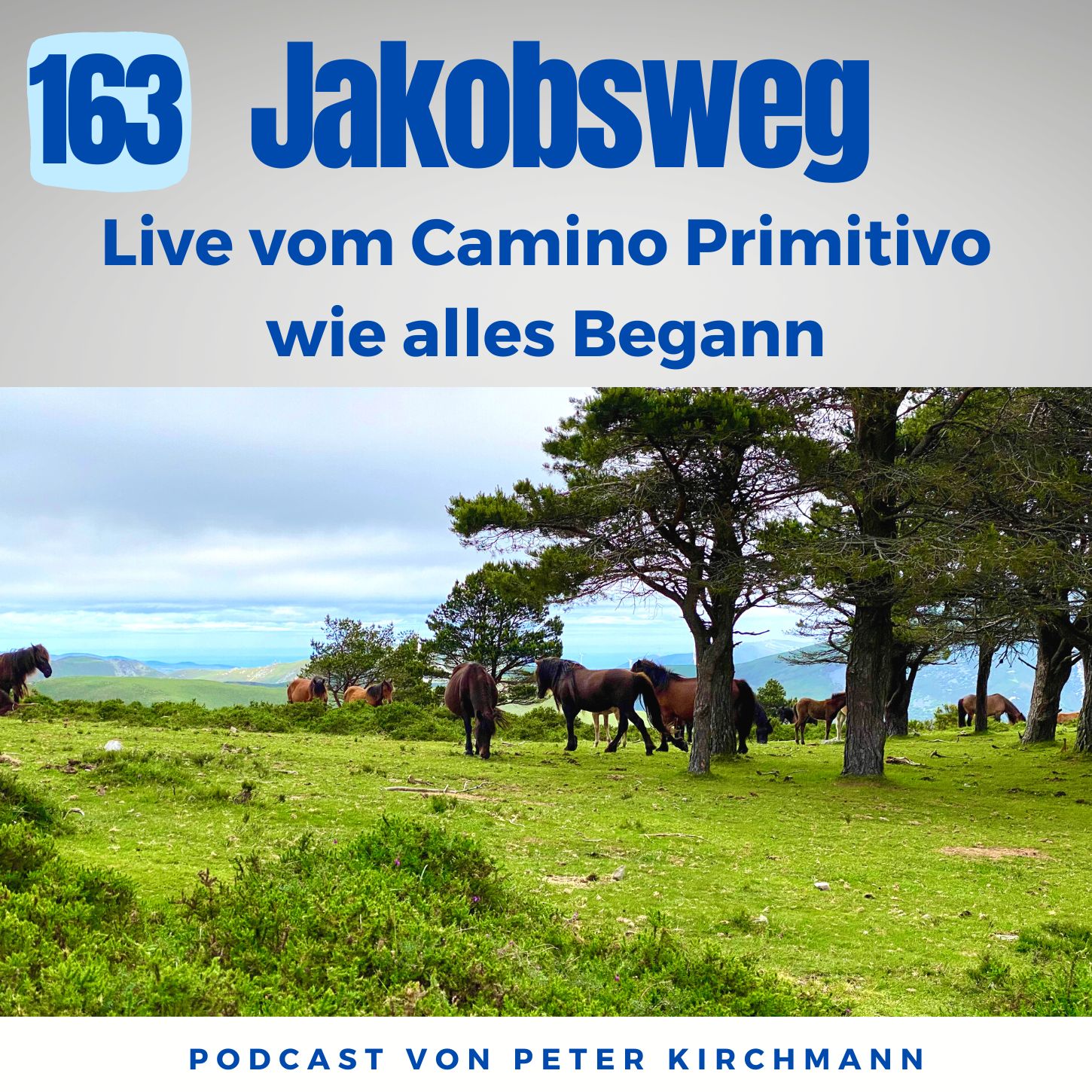 Wie alles begann: Von gemeinsamen Vorbereitungswanderungen zur Pilgerreise (163)