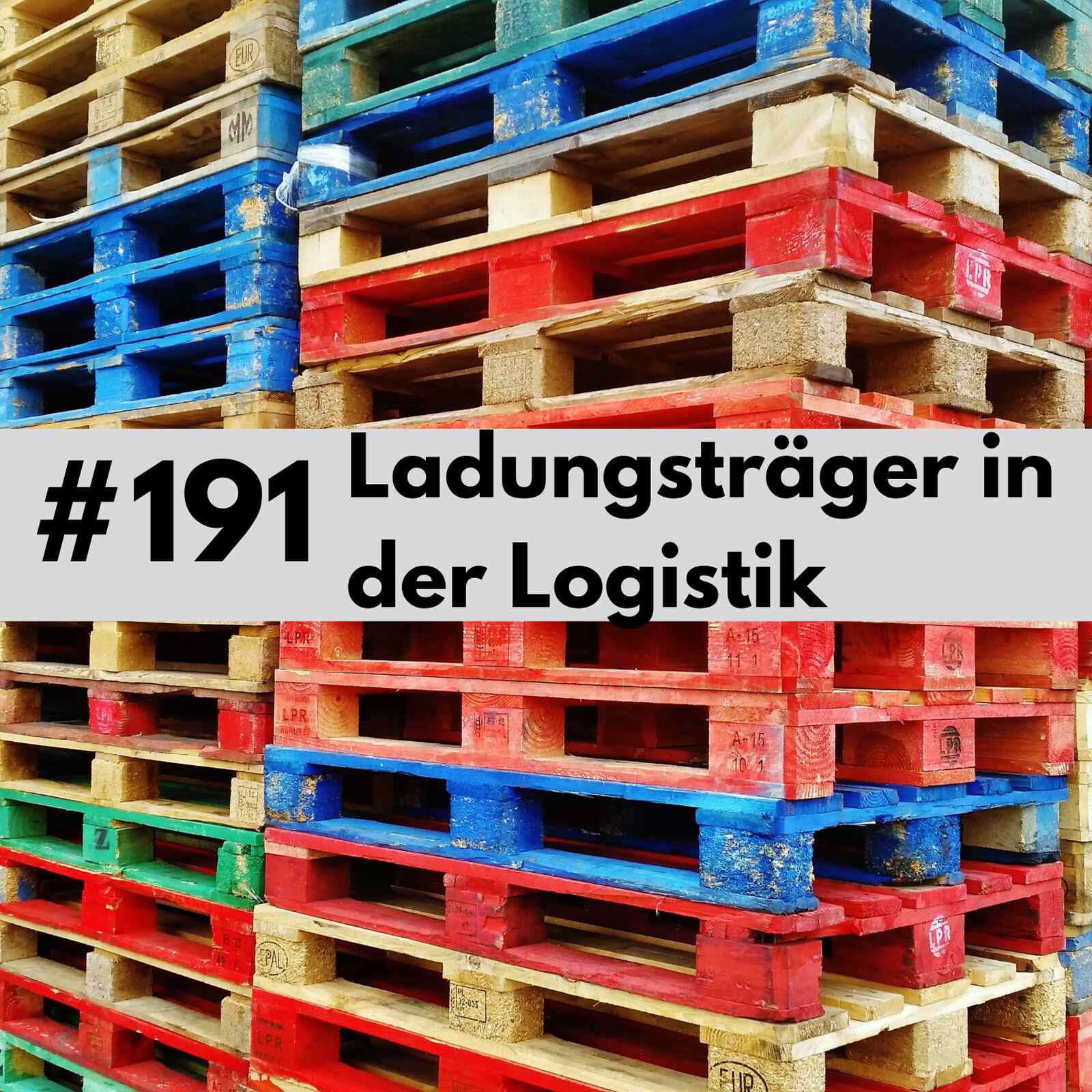 191 - Ladungsträger in der Logistik