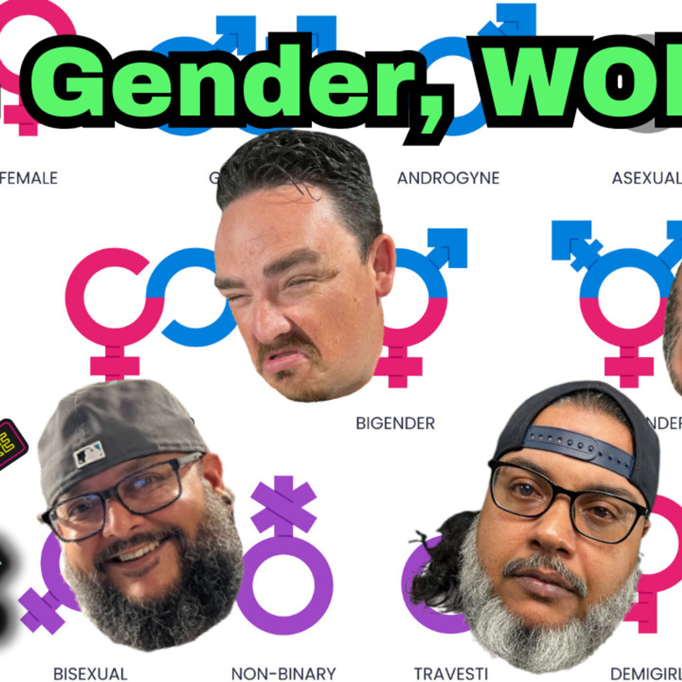 What is a sex? What is a gender? What is the difference between sex and gender? Why question anyone's beliefs!